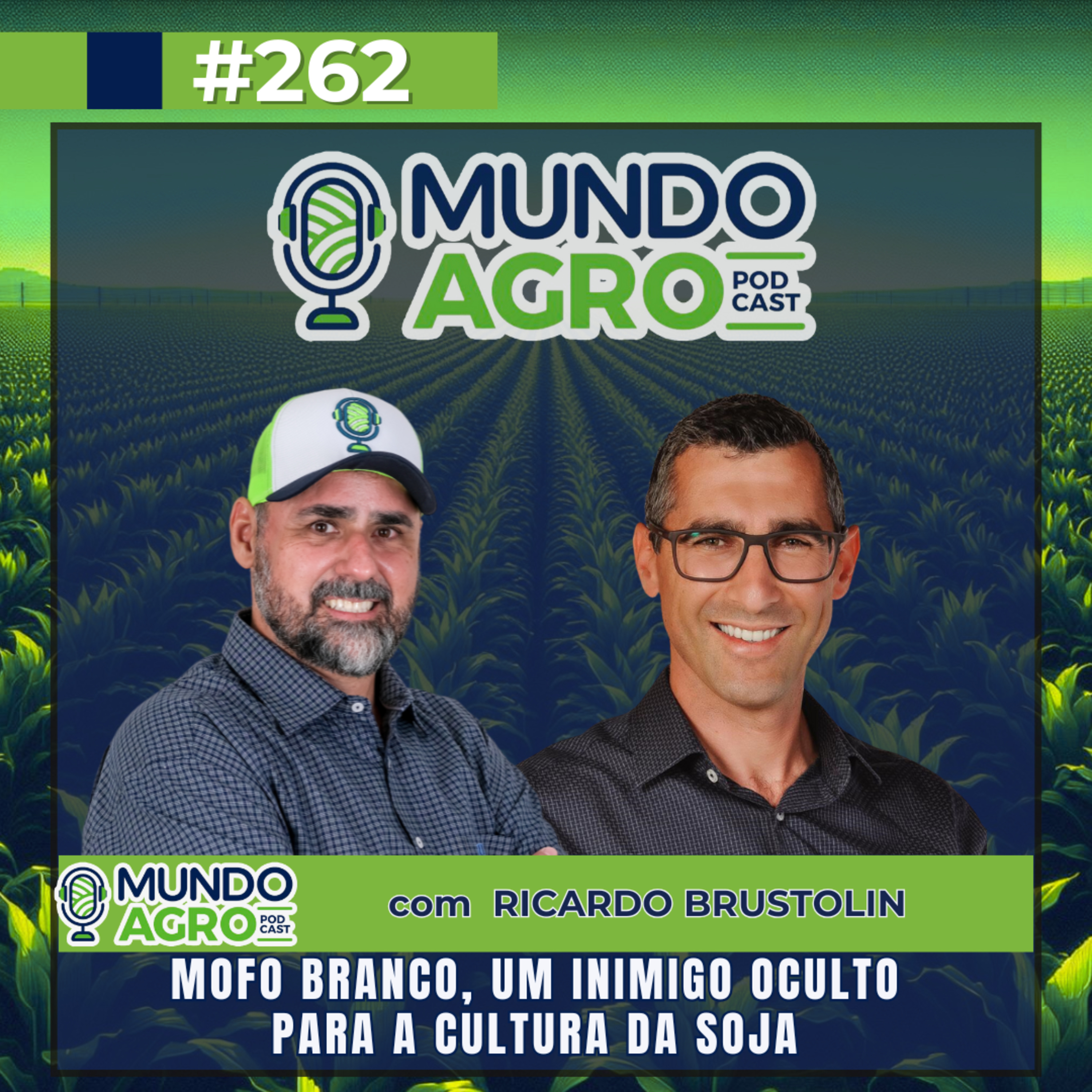 #EP262 MAP Mofo Branco, um inimigo oculto para a cultura da soja com Ricardo Brustolin
