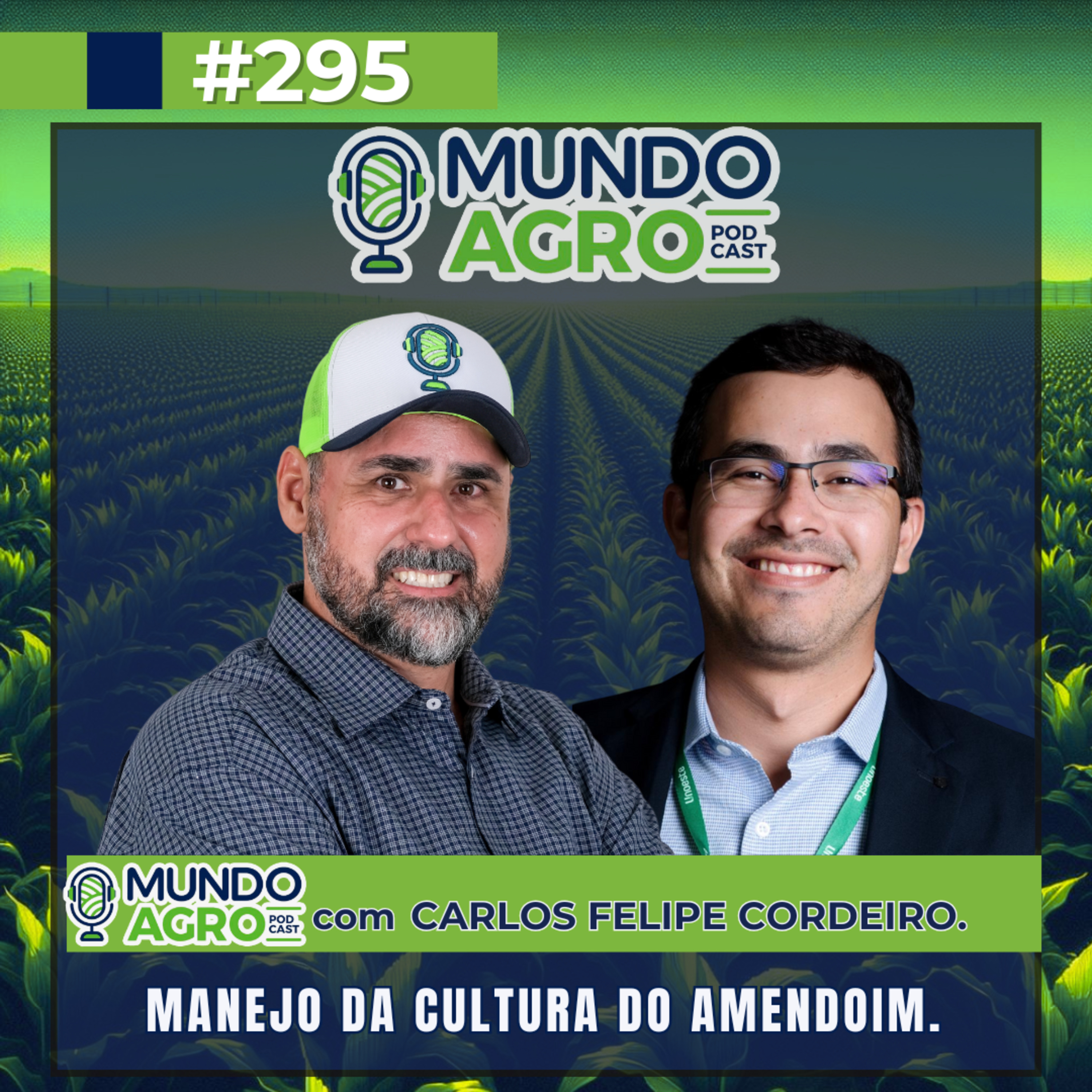 #EP295 MAP Manejo da cultura do Amendoim com o Prof. Carlos Felipe Cordeiro