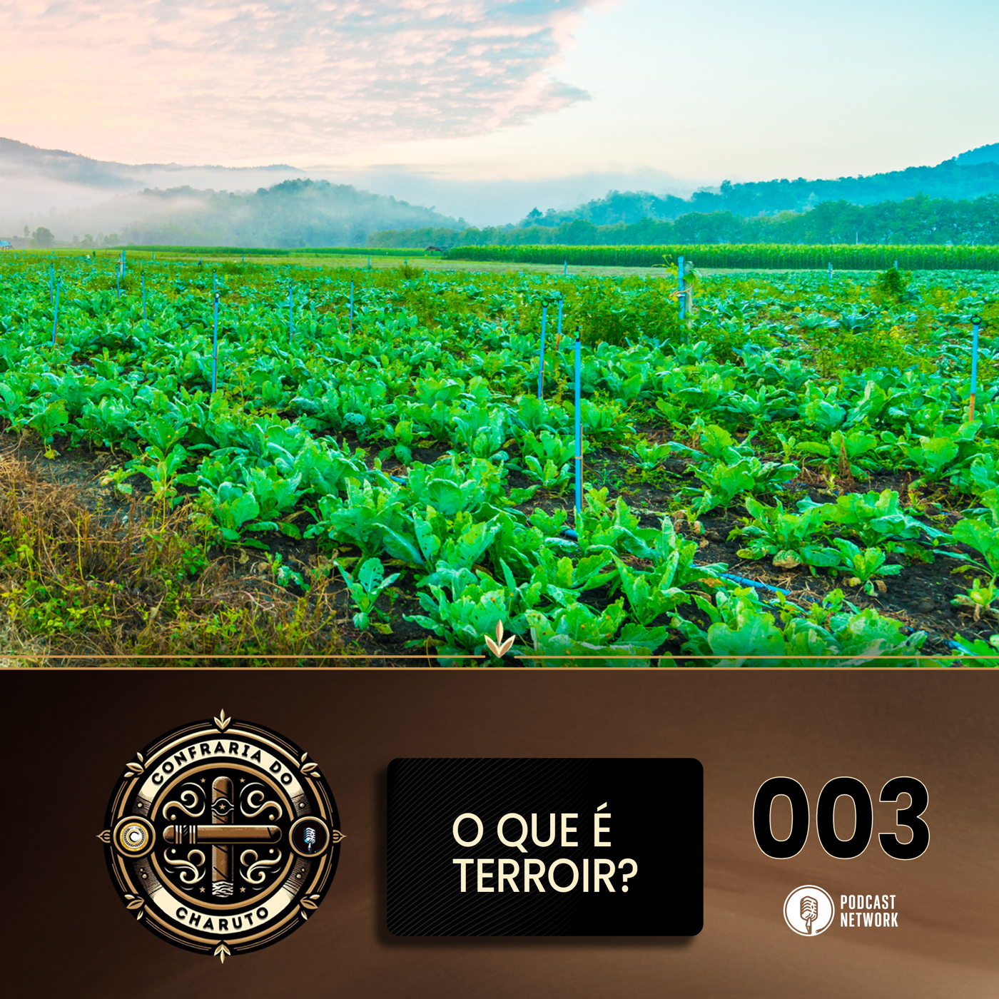 Confraria do Charuto