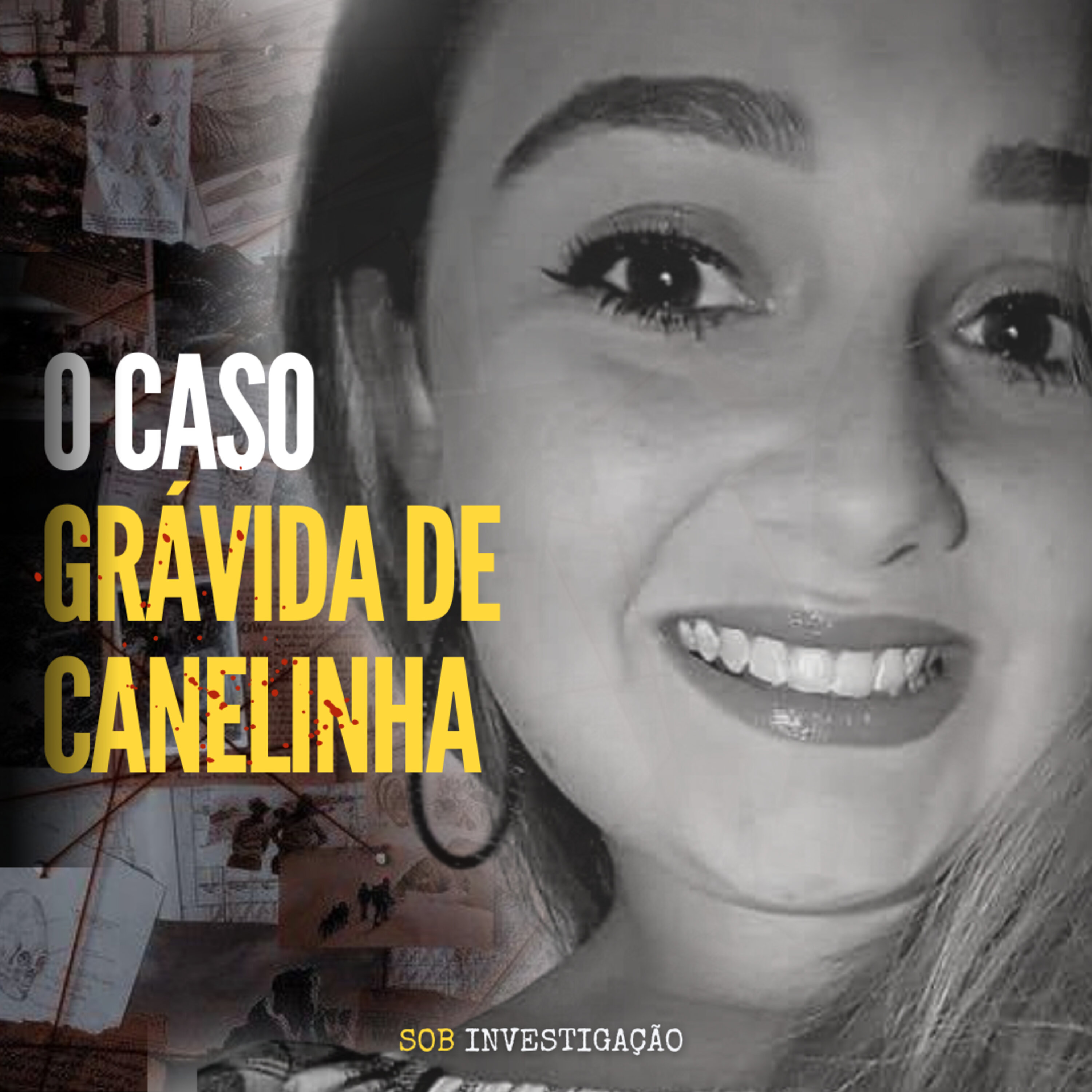 T03 Ep10 O caso Grávida de Canelinha