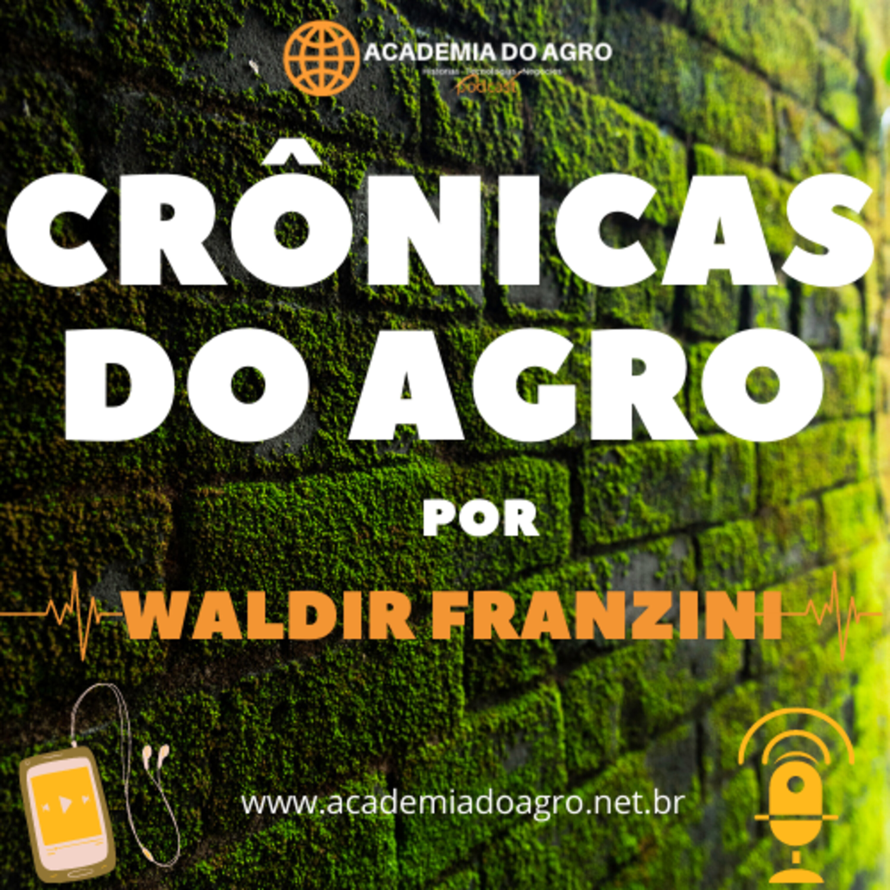 Programa Soja Baixo Carbono irá valorizar soja produzida com tecnologias sustentáveis
