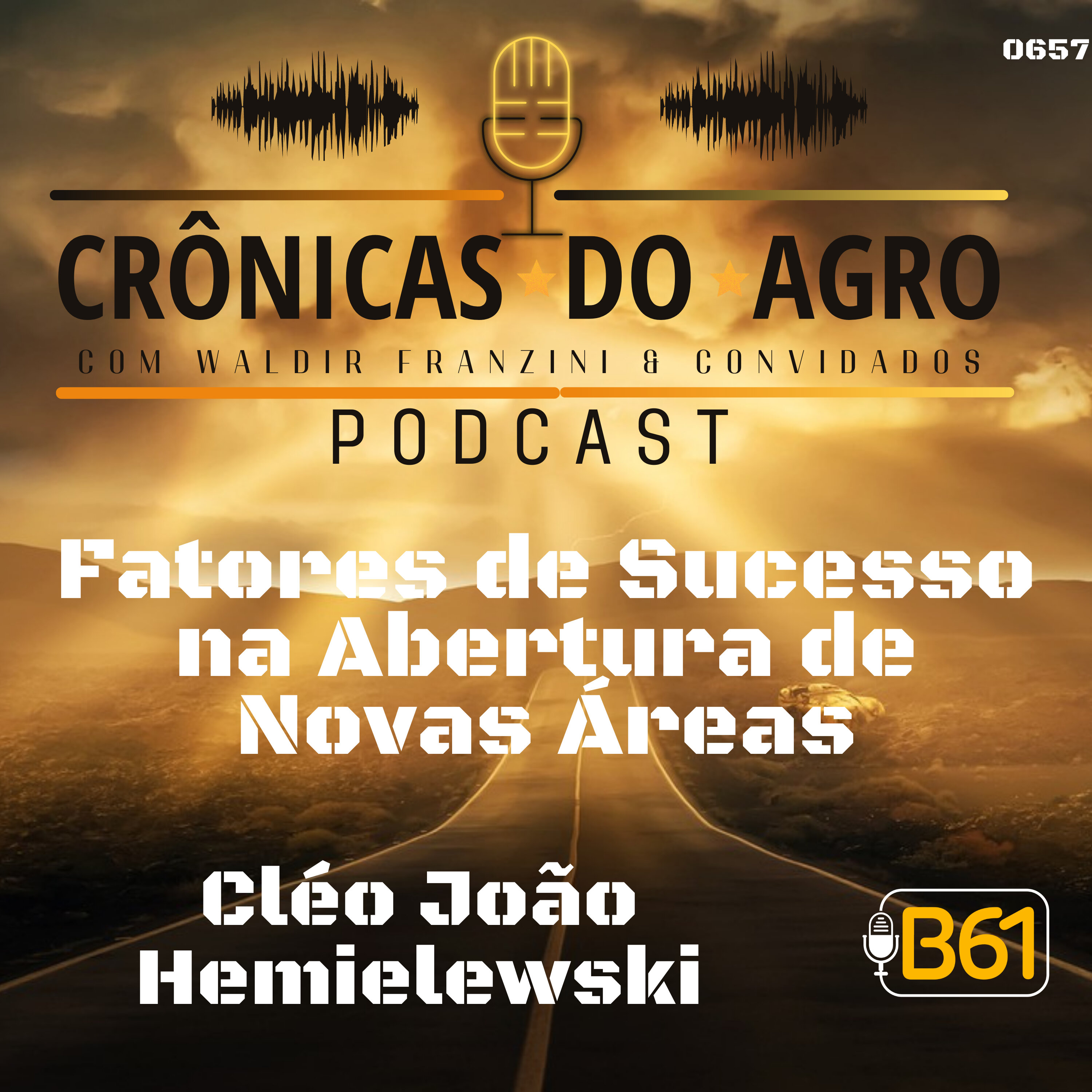 Fatores de Sucesso na Abertura de Novas Áreas