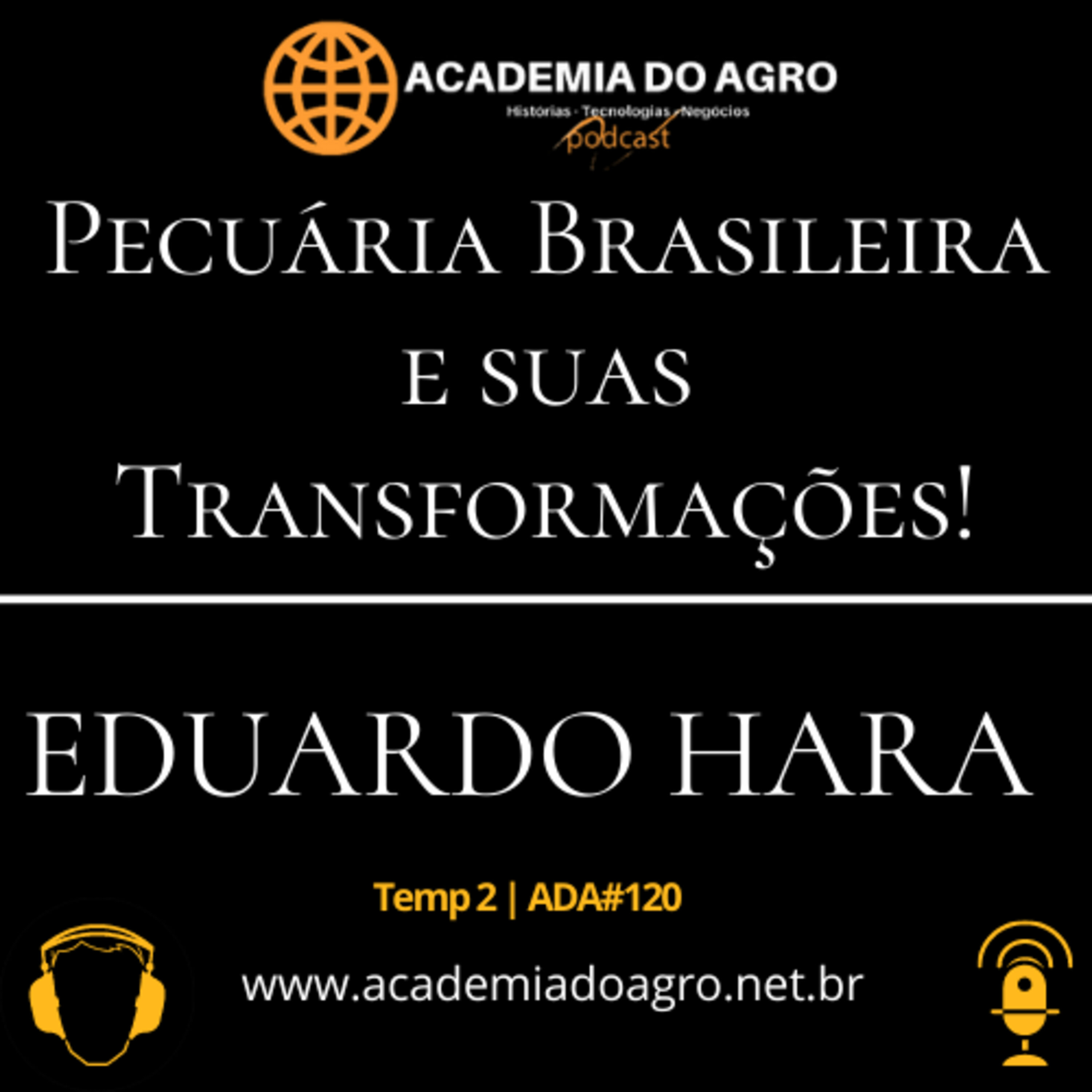 Pecuária Brasileira e suas Transformações!