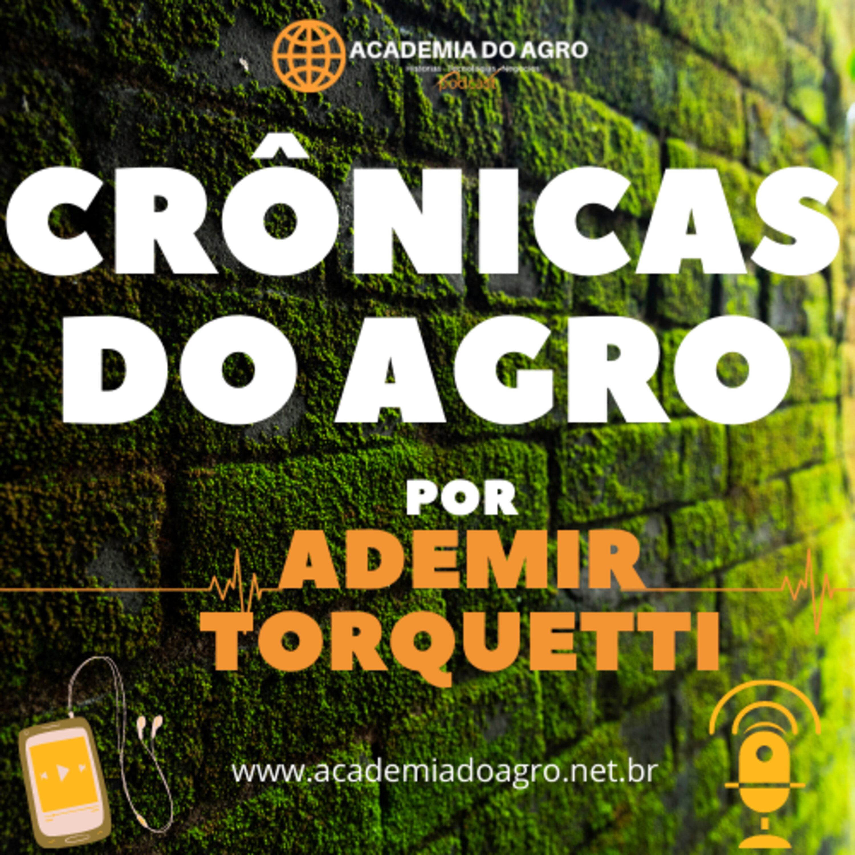 Cultura do Girassol