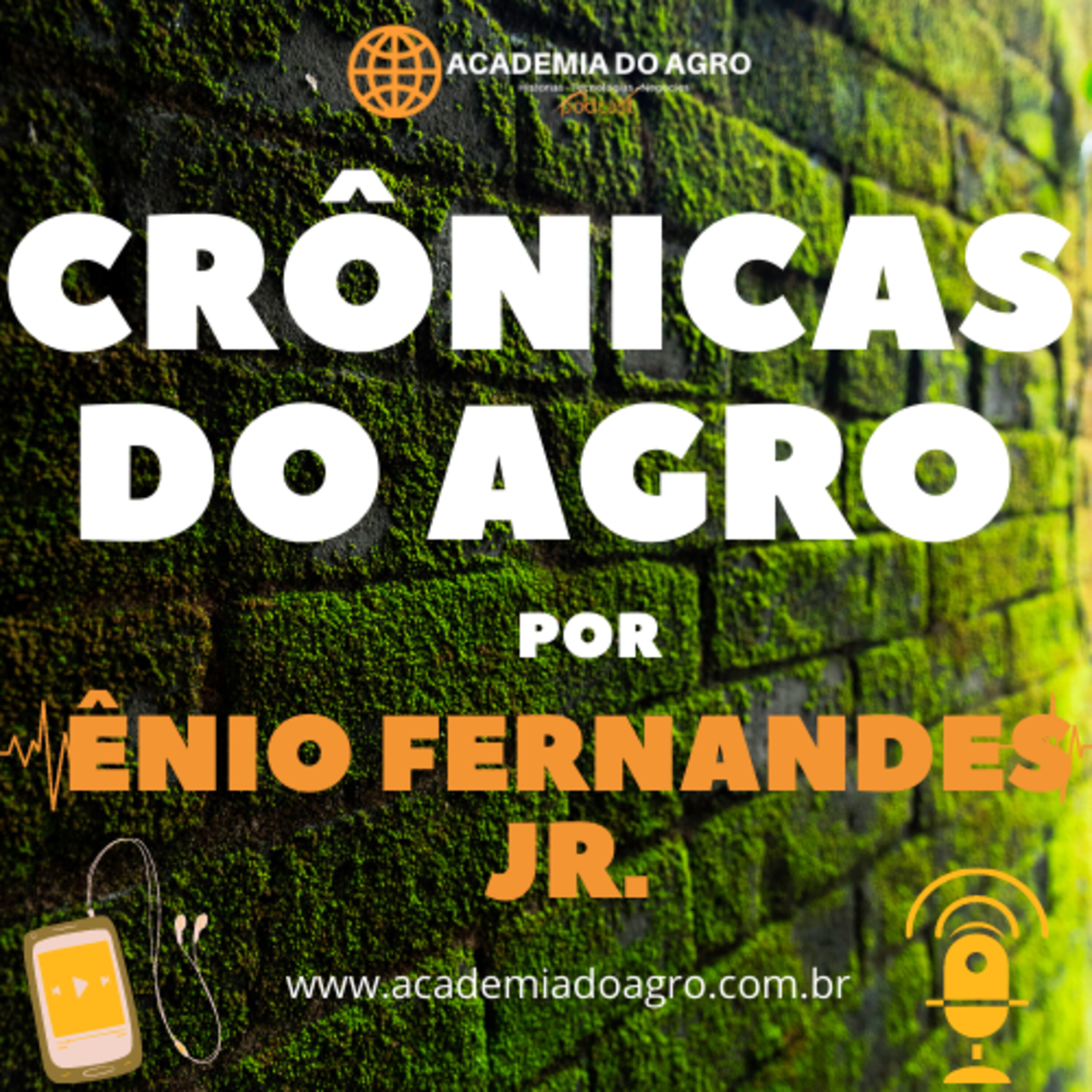 Participação nas Cooperativas  e suas  Assembléias