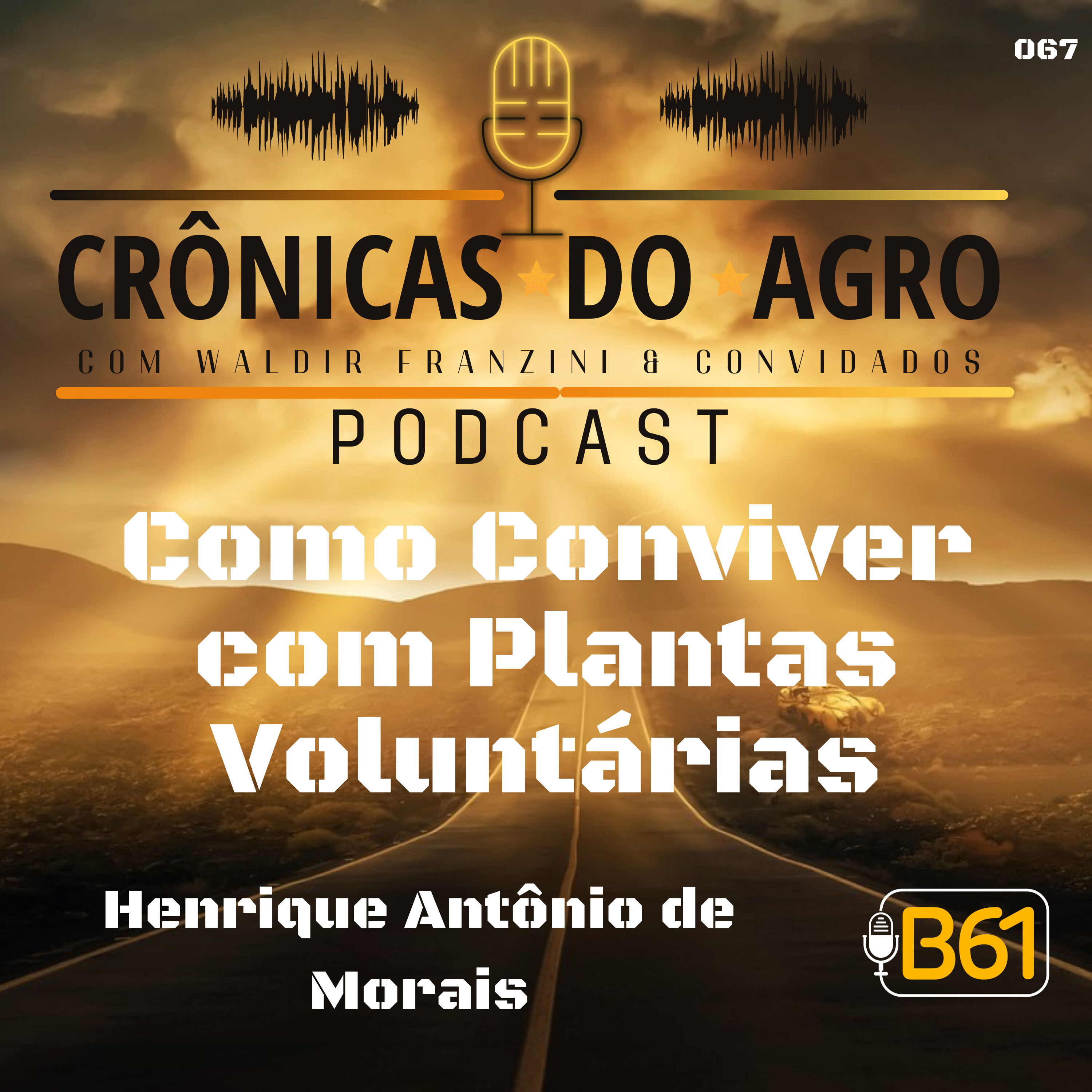 Como Conviver com as Plantas Voluntárias