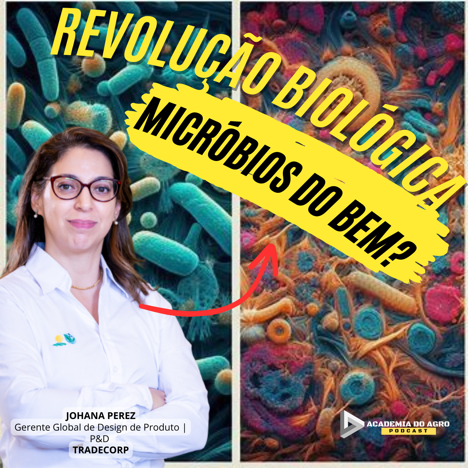 Agricultura nas Mãos dos Microrganismos Benéficos