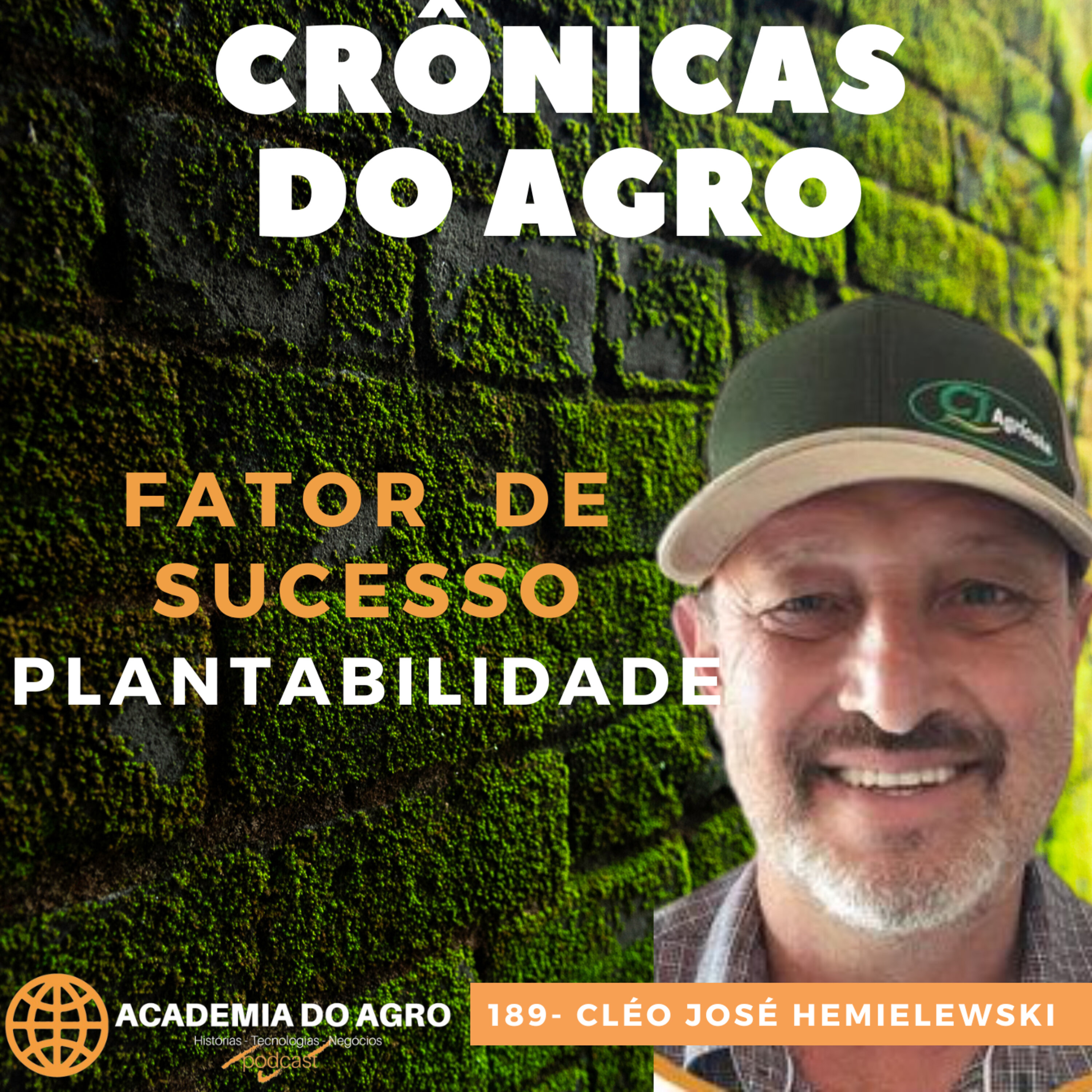 Fator de Sucesso na Lavoura - Plantabilidade
