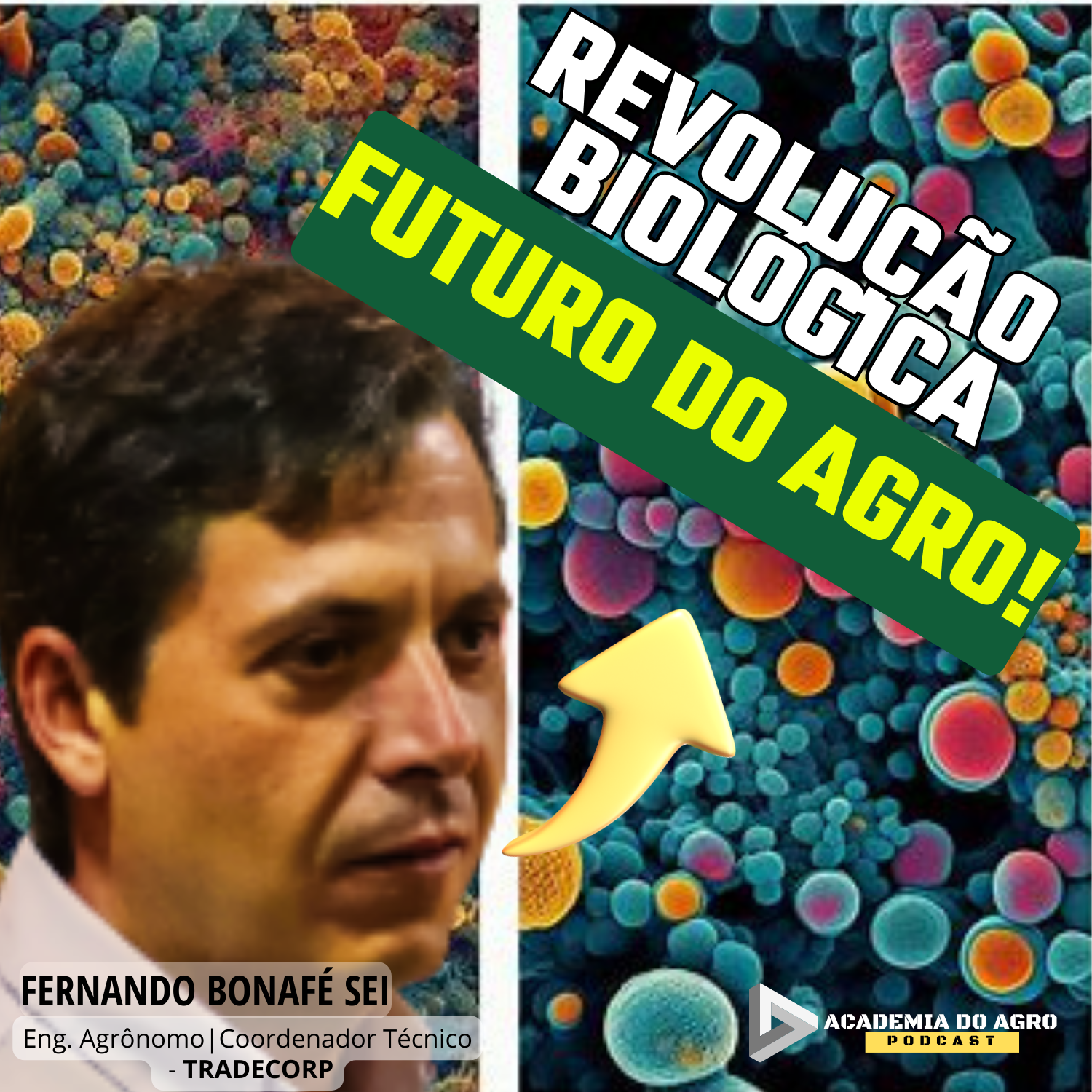 A importância dos Microrganismos na Agricultura!