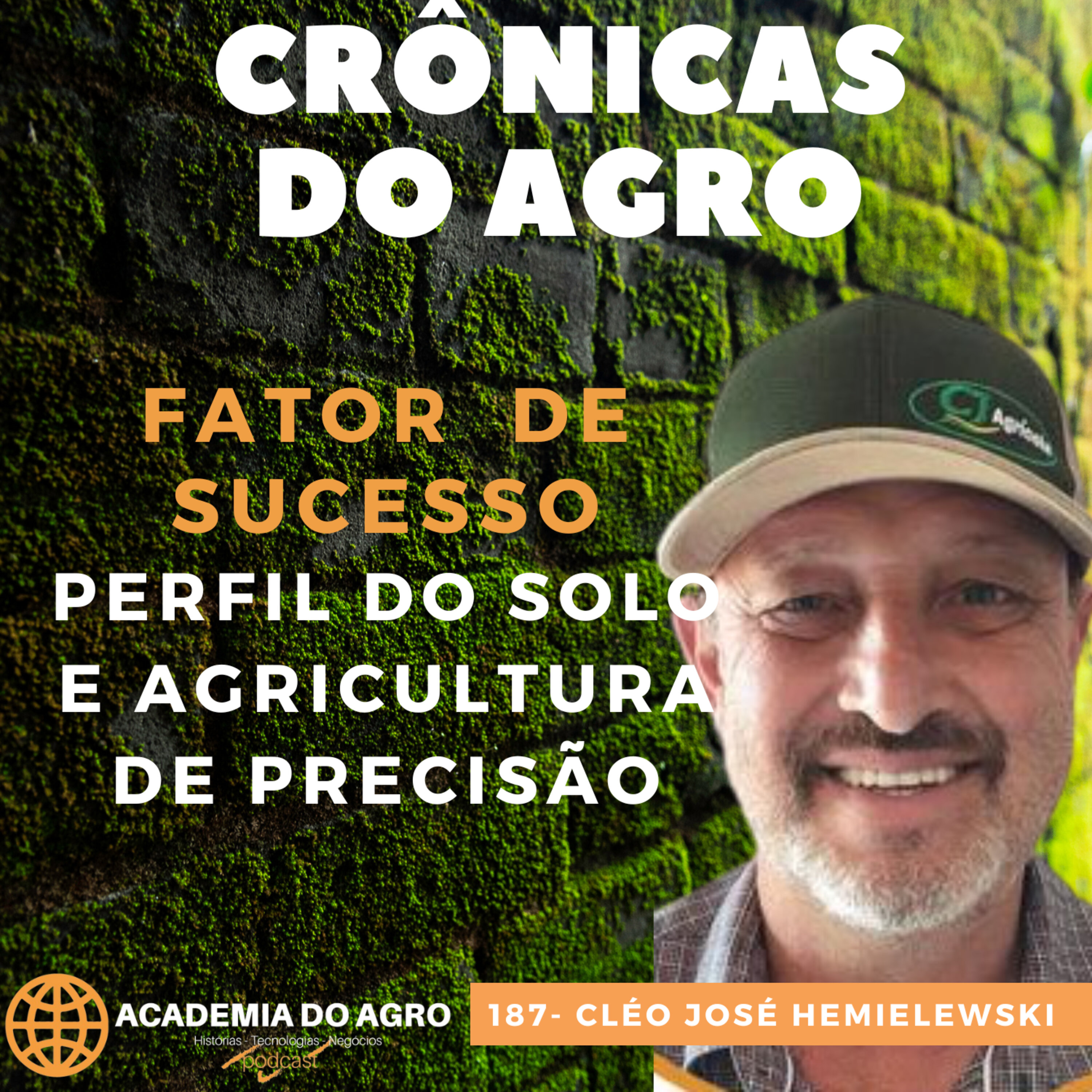 Fator de Sucesso na Lavoura - Perfil do Solo e Agr. Precisão