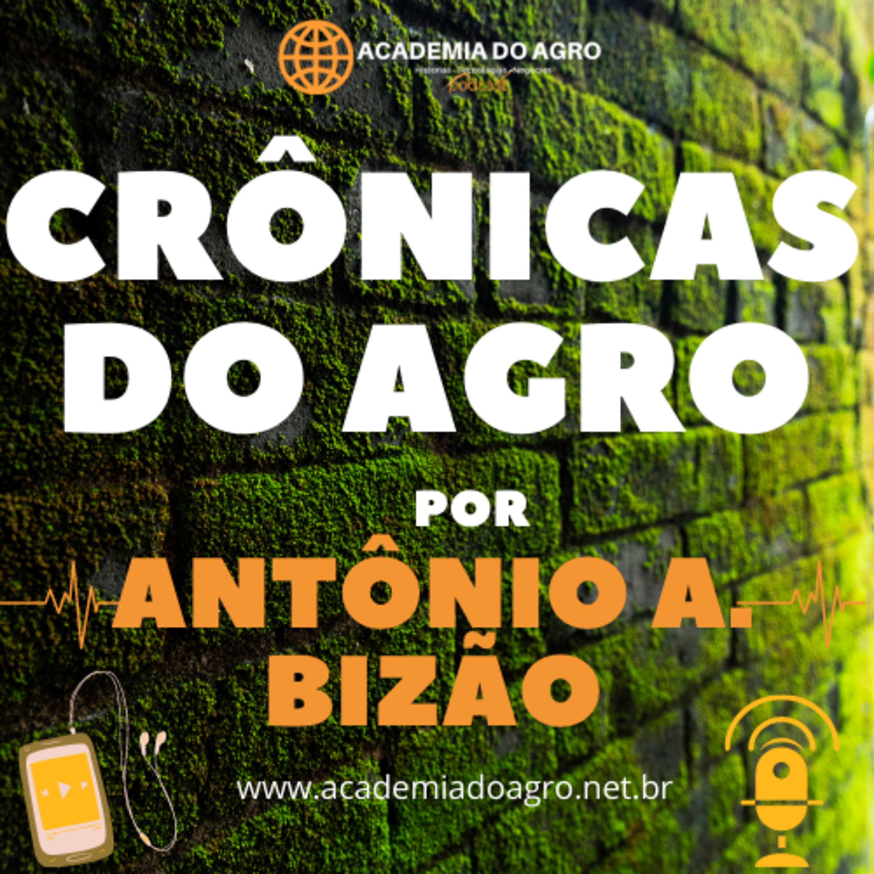 Uso do Pó de Rocha como cama para gado em barracão.