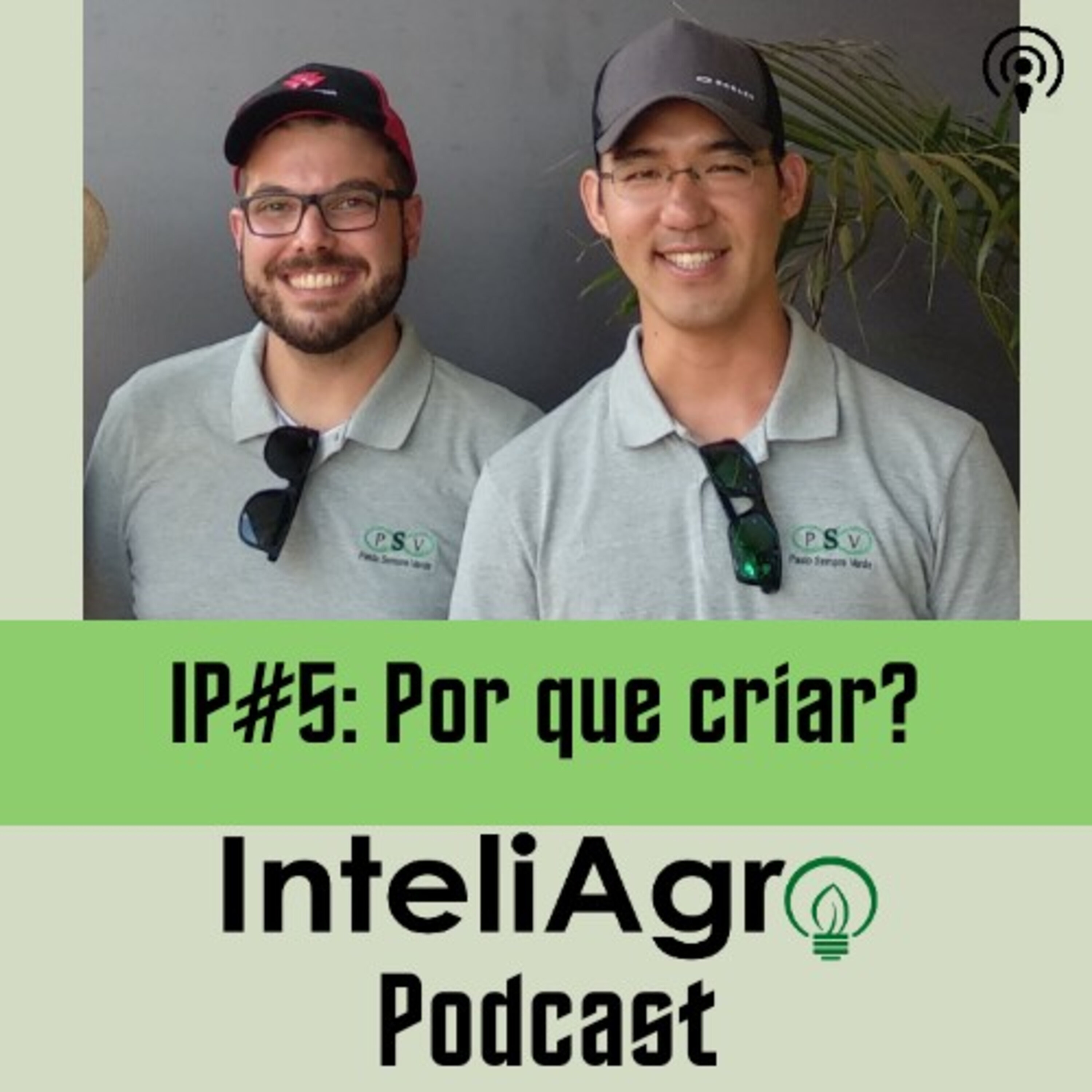 IP#5: Por que criar? episode artwork