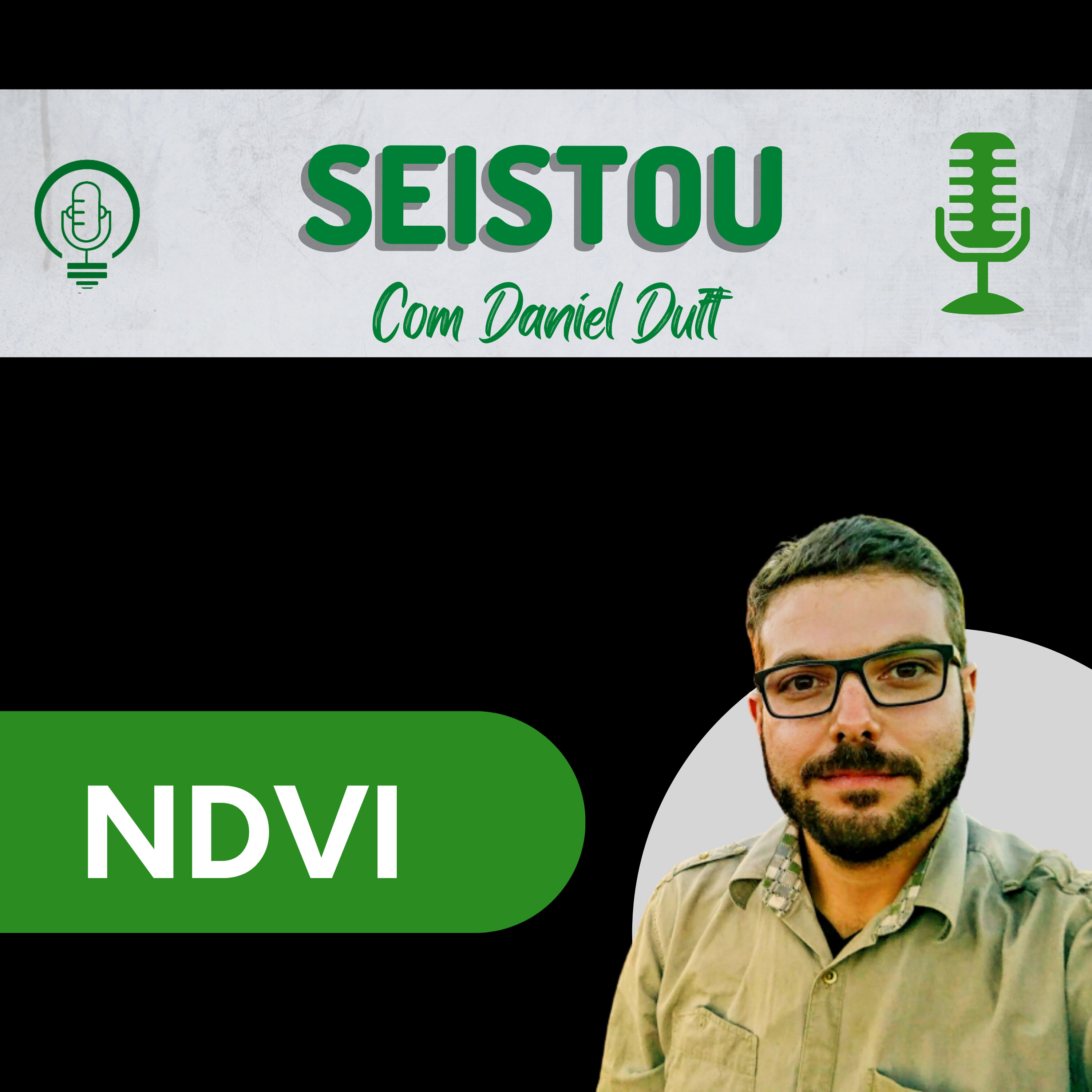 Seistou#4 - NDVI episode artwork