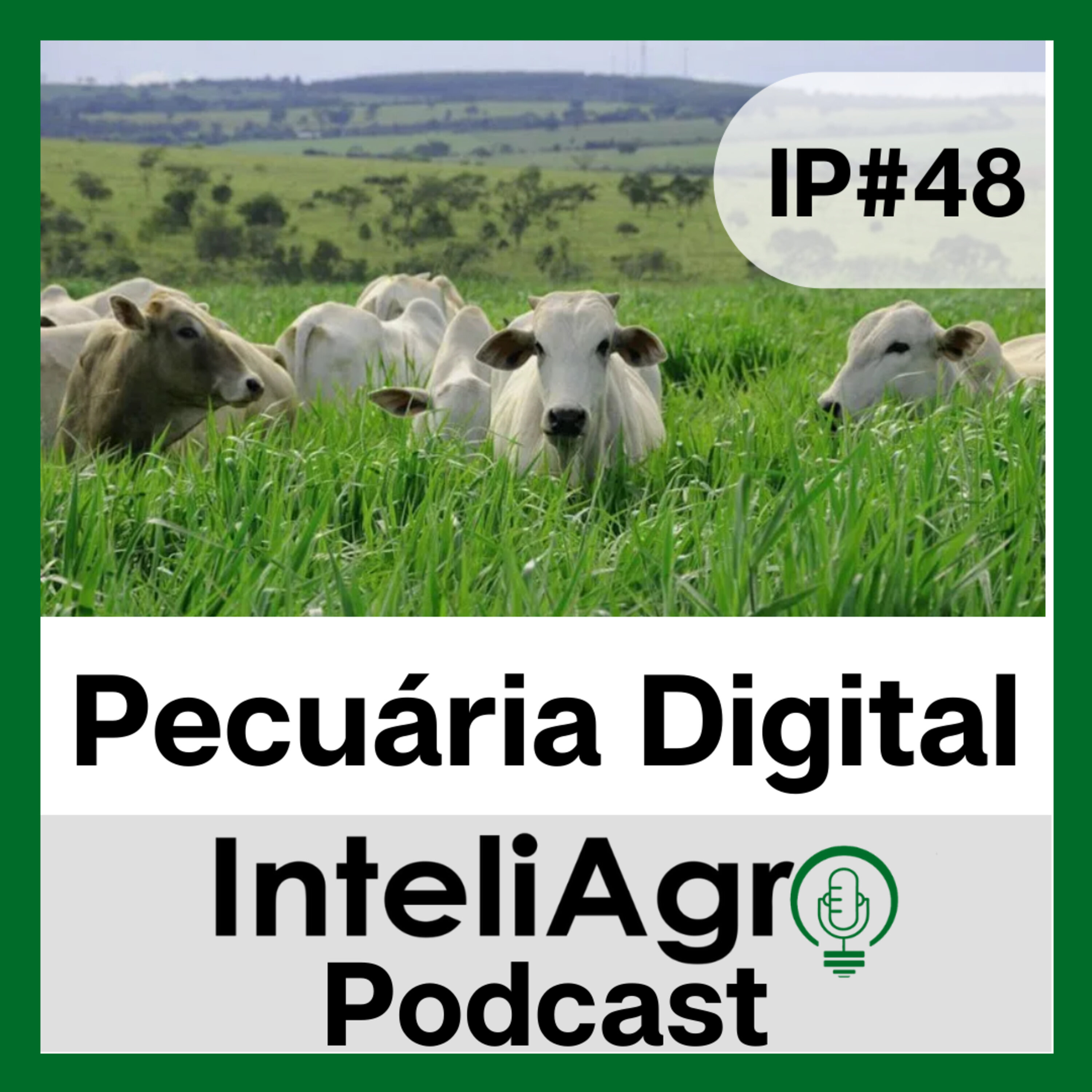 IP#48 - Pecuária Digital episode artwork