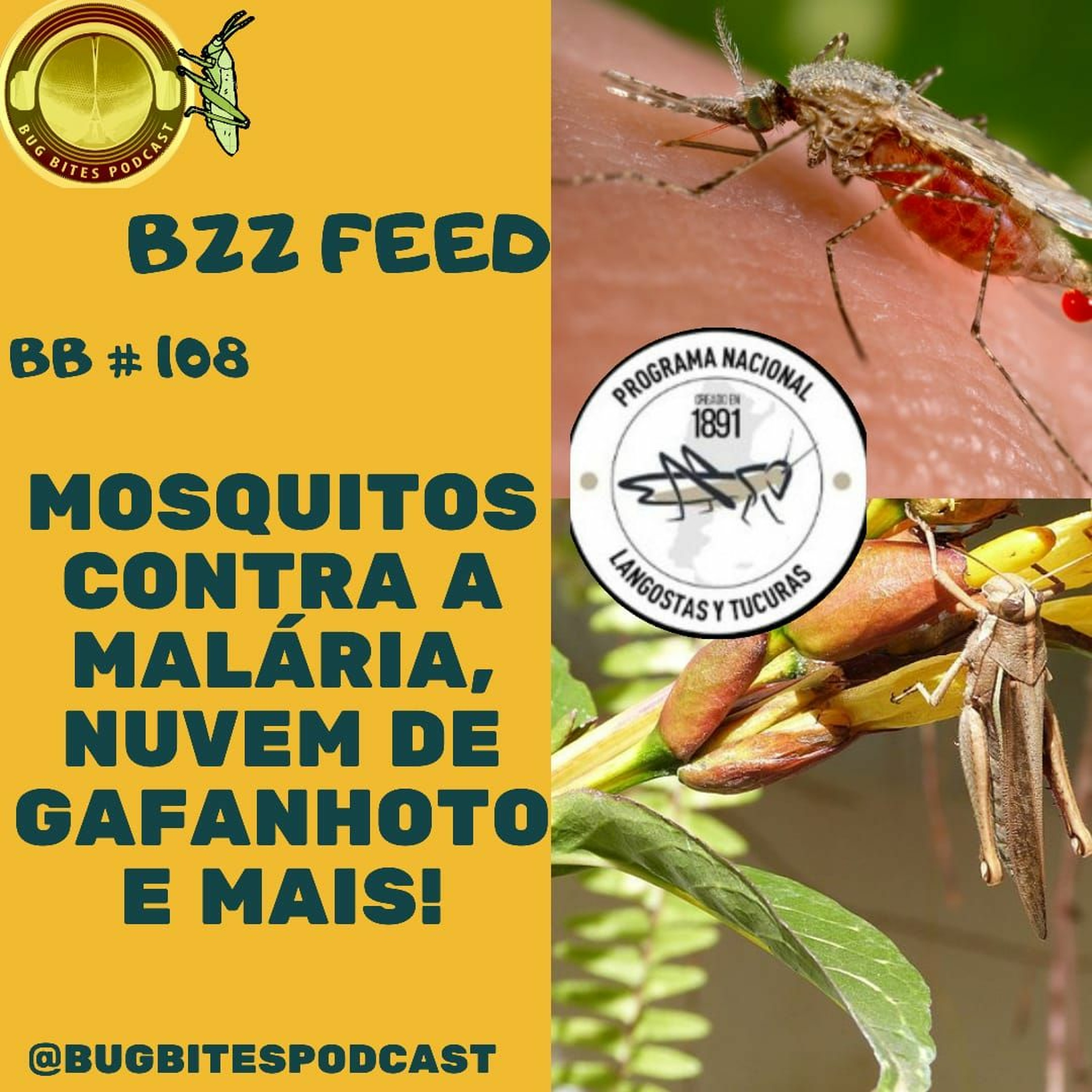 Agrocast