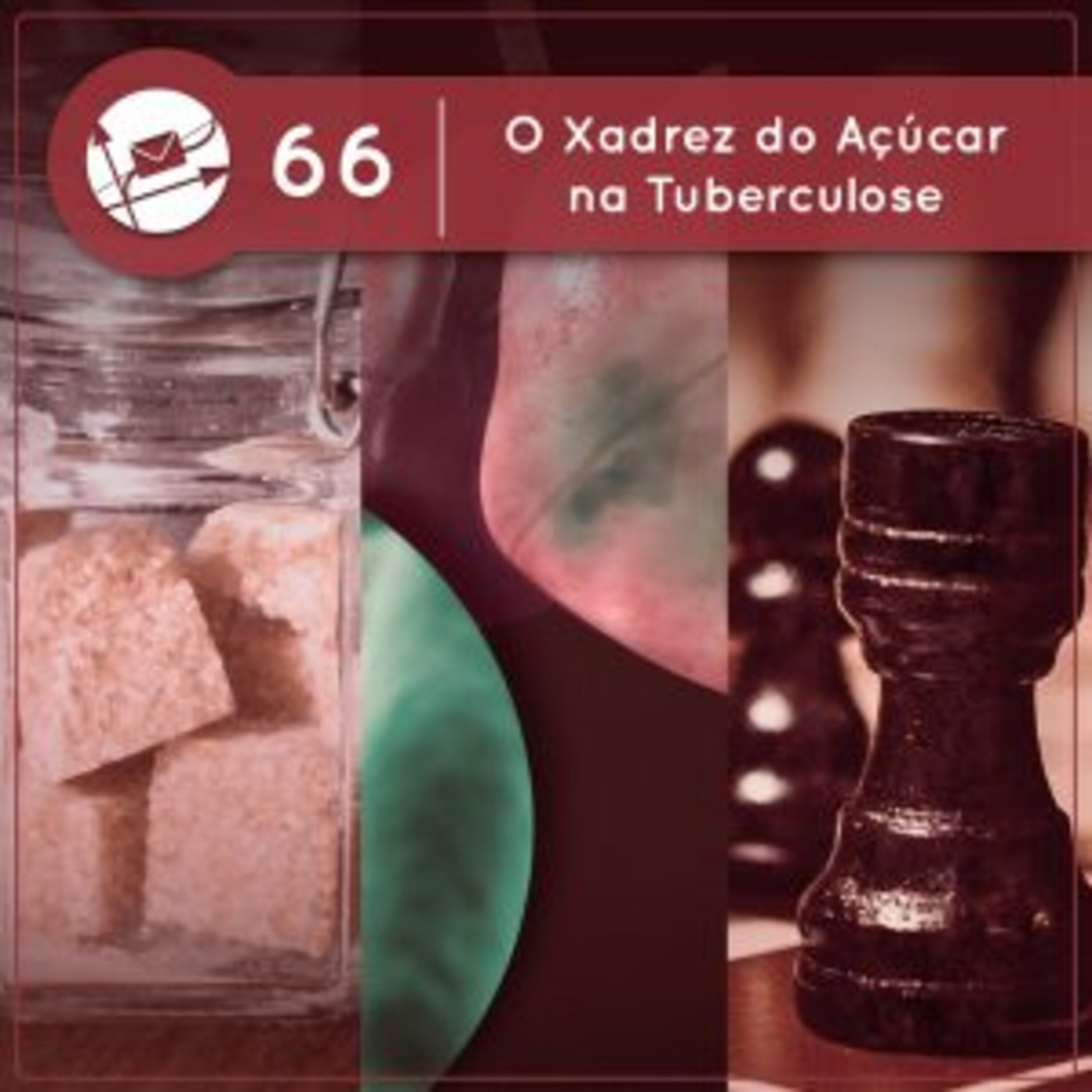 O Xadrez do Açúcar na Tuberculose (Derivadas #66)