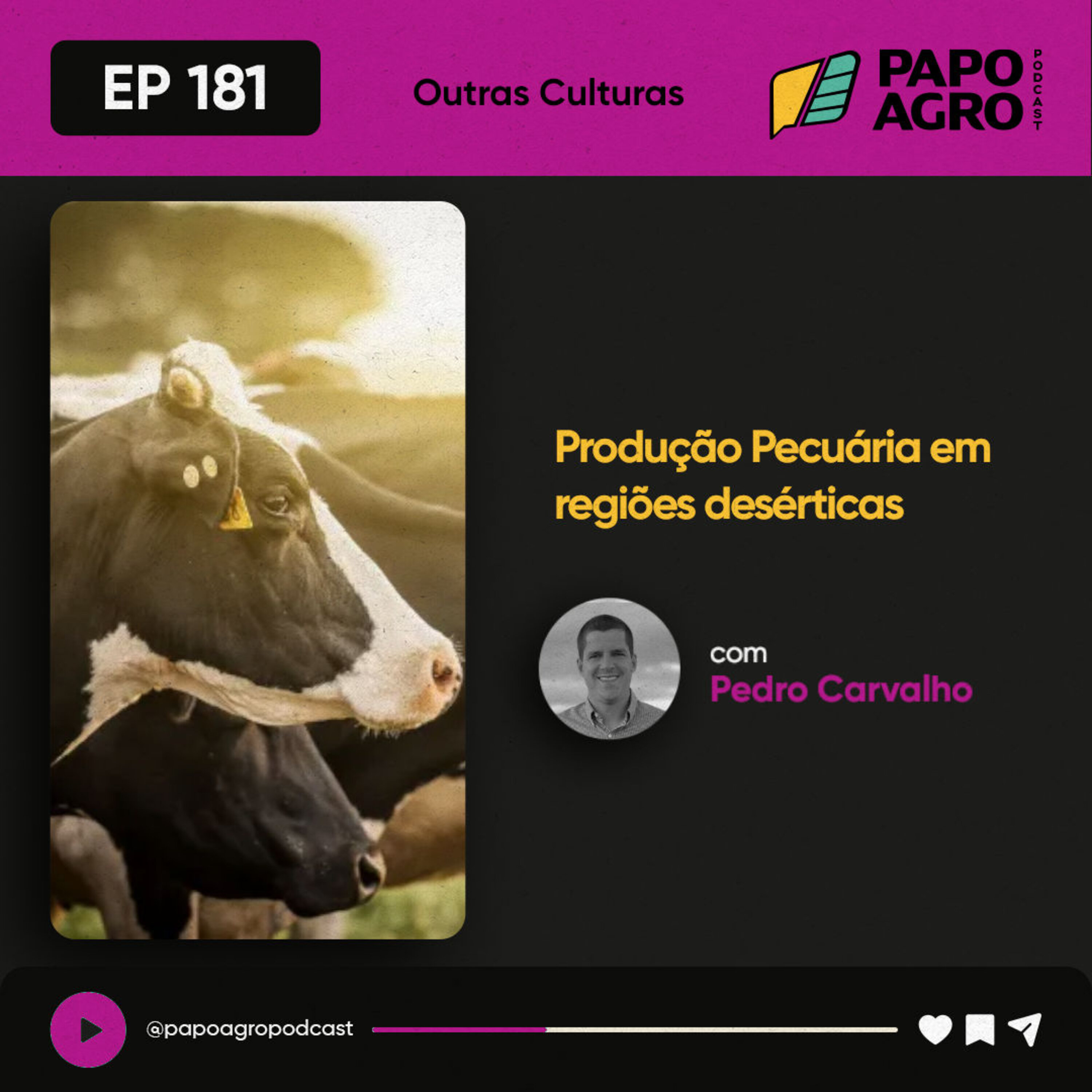 PA181 - Outras Culturas - Produção pecuária em regiões desérticas