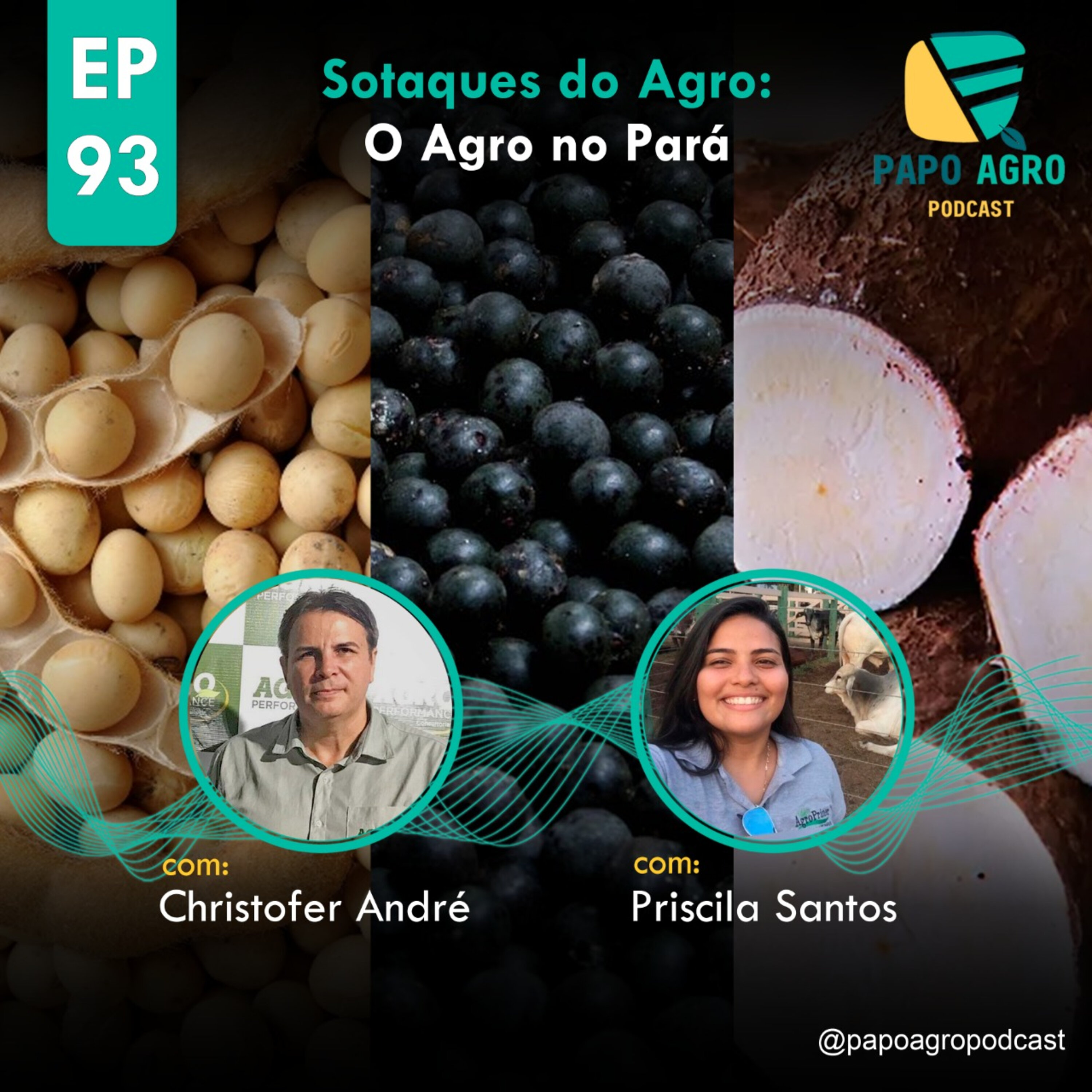 Papo Agro Podcast