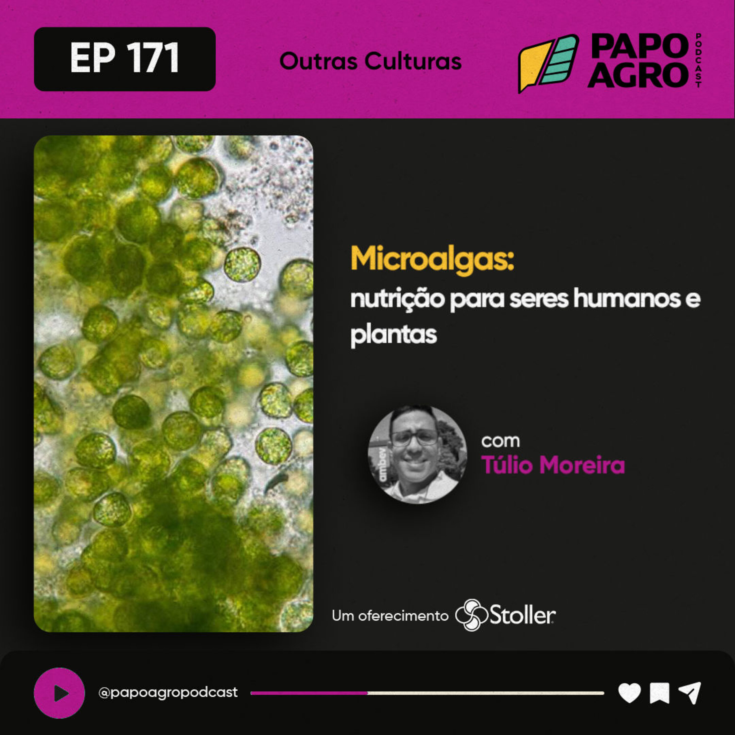 PA171 - Outras Culturas: Microalgas