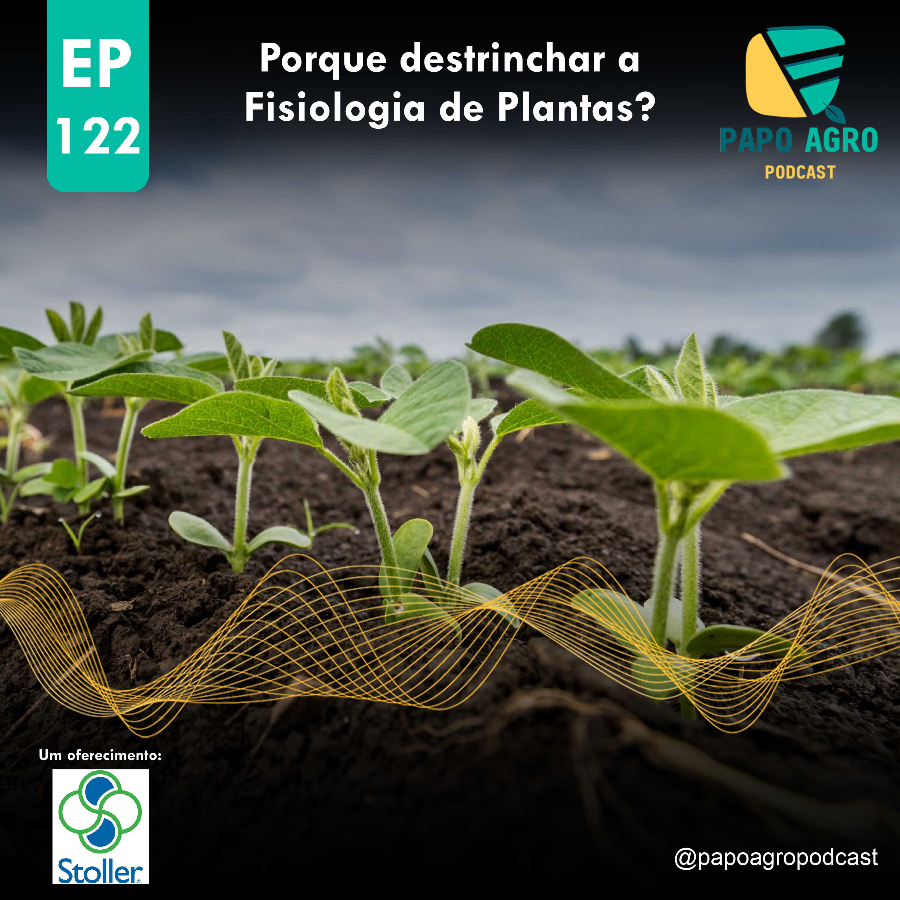 PA122 - Porque destrinchar a Fisiologia de plantas?