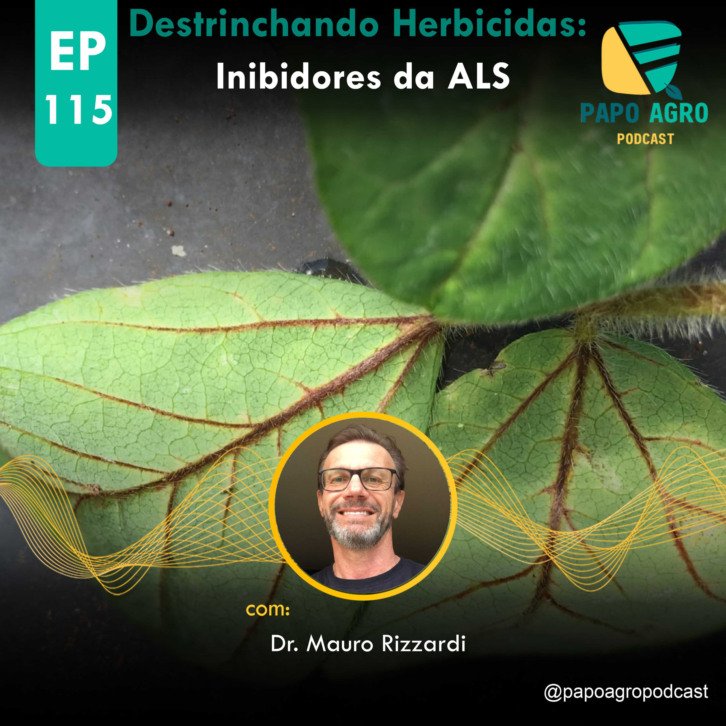 Papo Agro Podcast