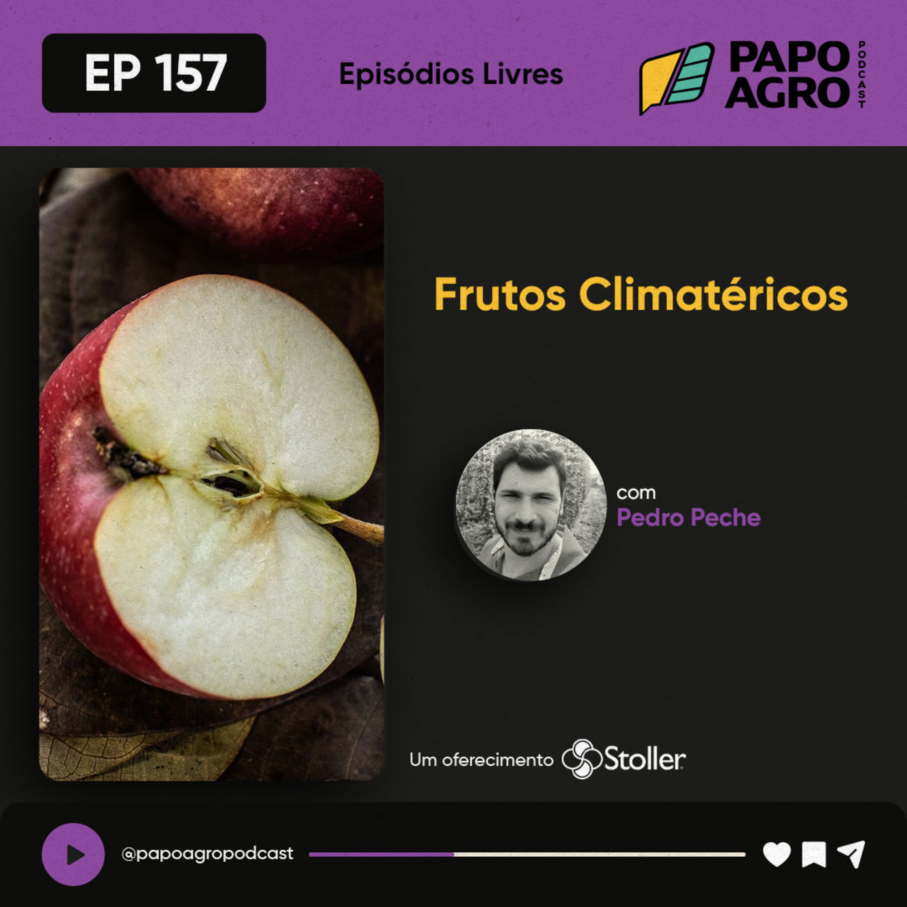 Papo Agro Podcast