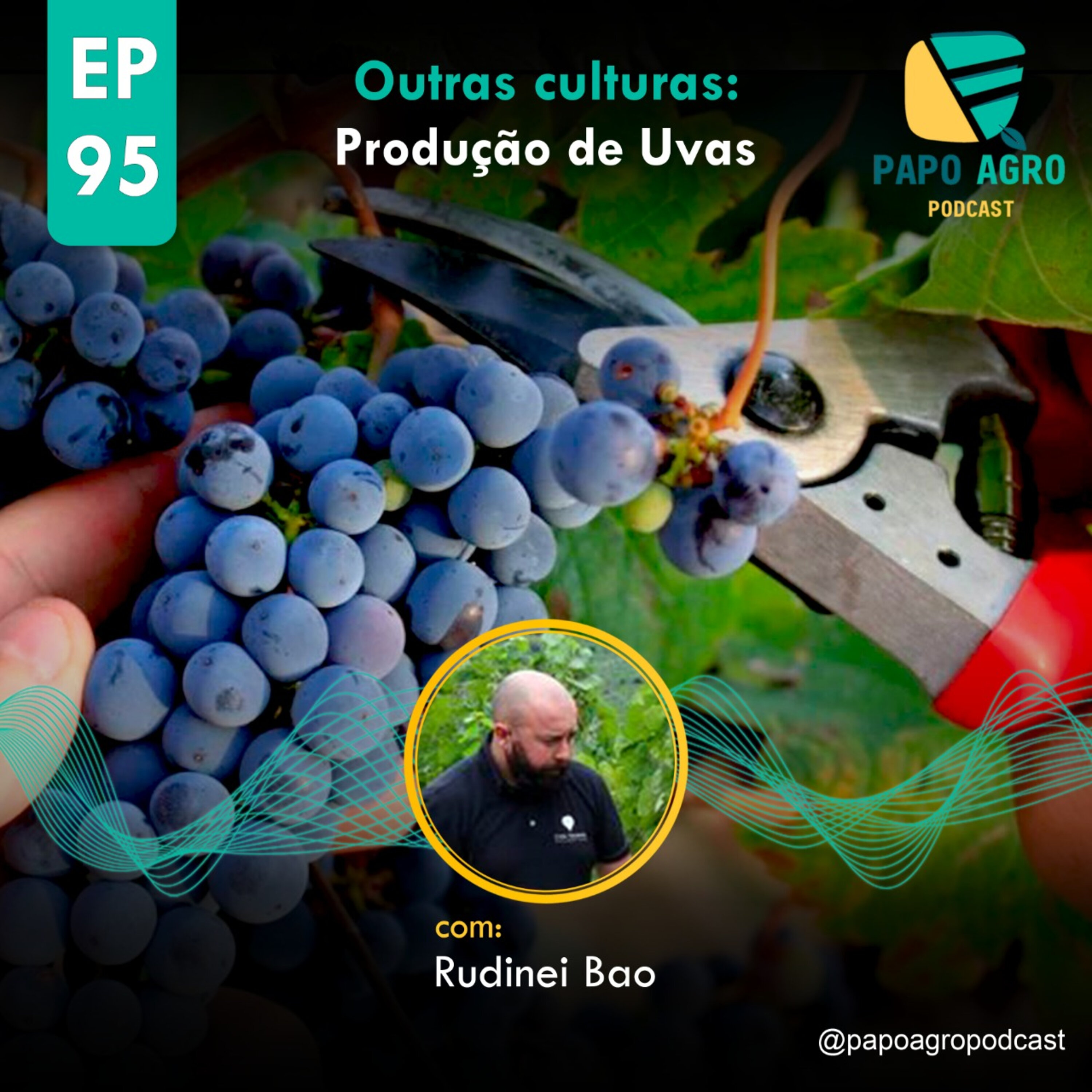 Papo Agro Podcast