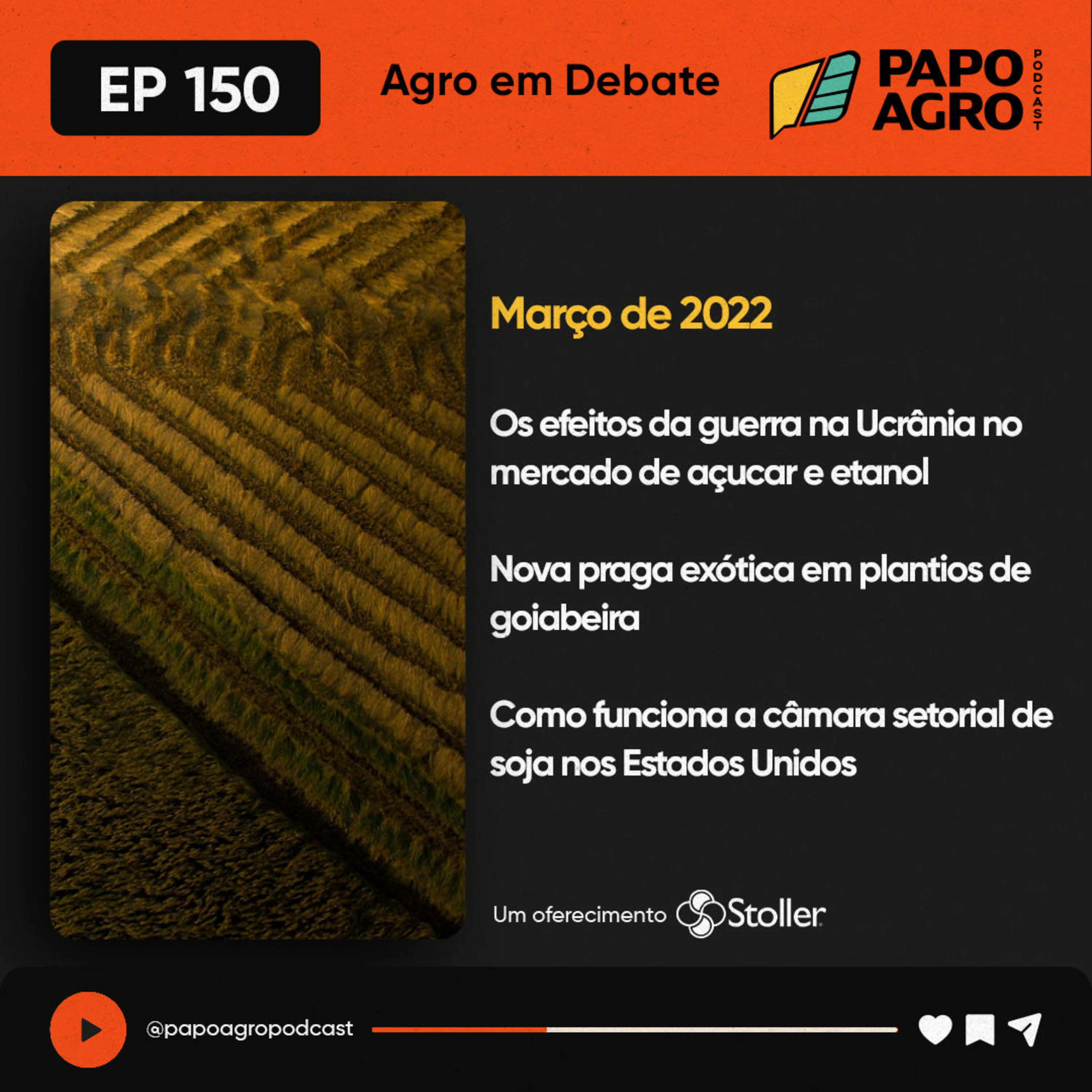 Papo Agro Podcast