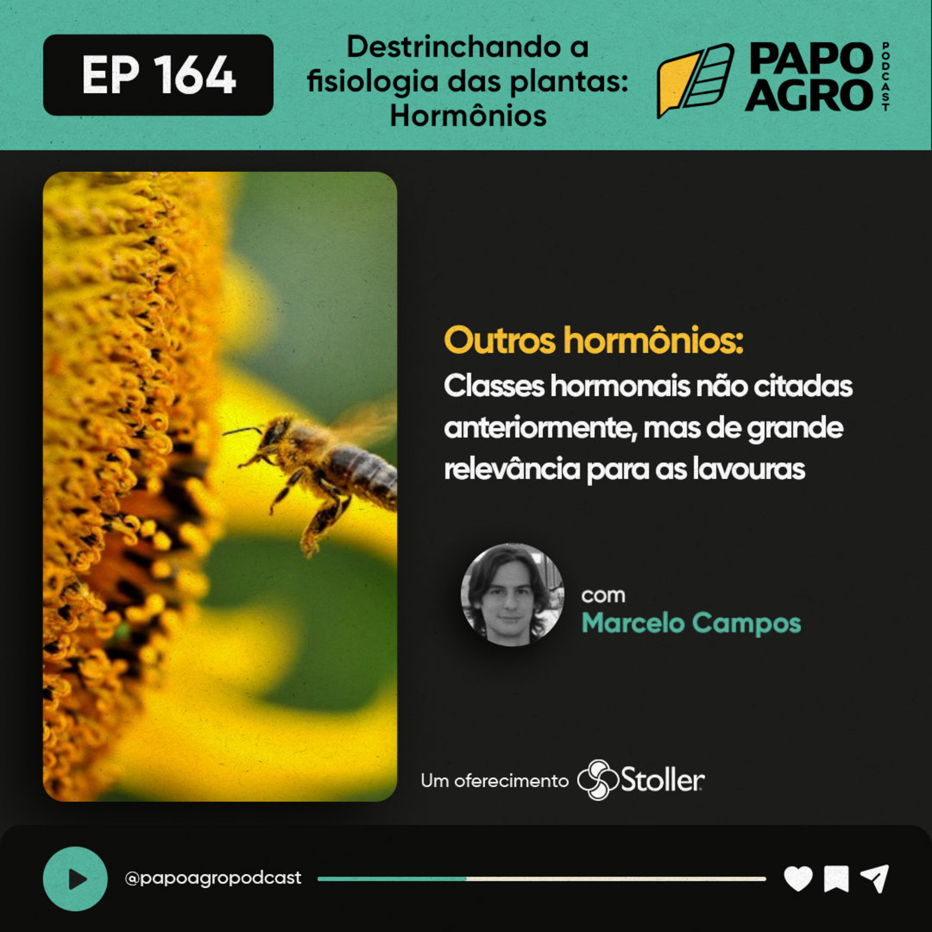 Papo Agro Podcast