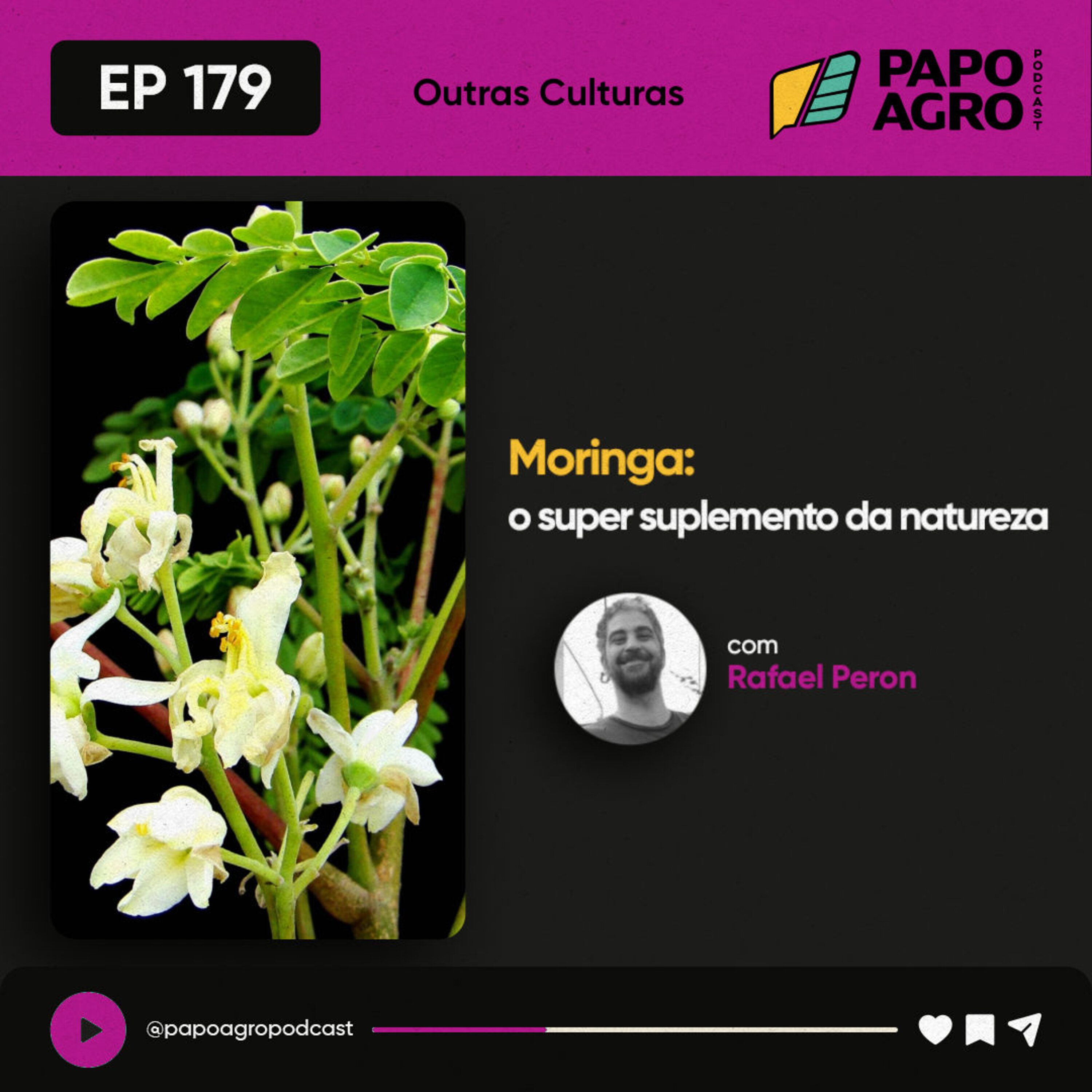 Papo Agro Podcast