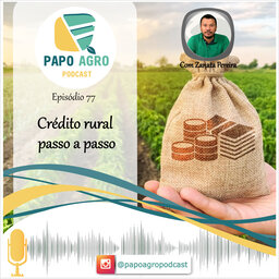 PA77 - Credito rural passo a passo