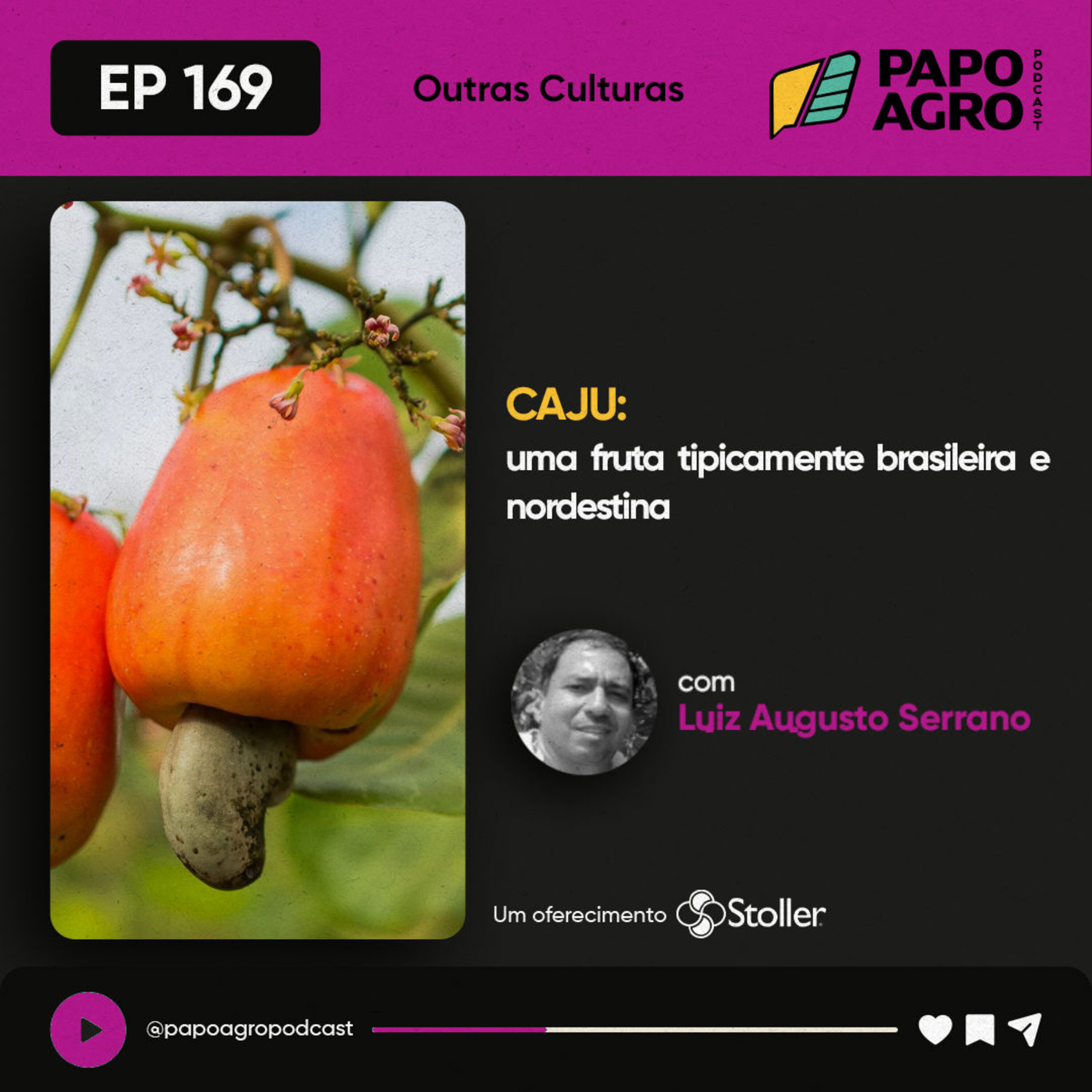 Agrocast