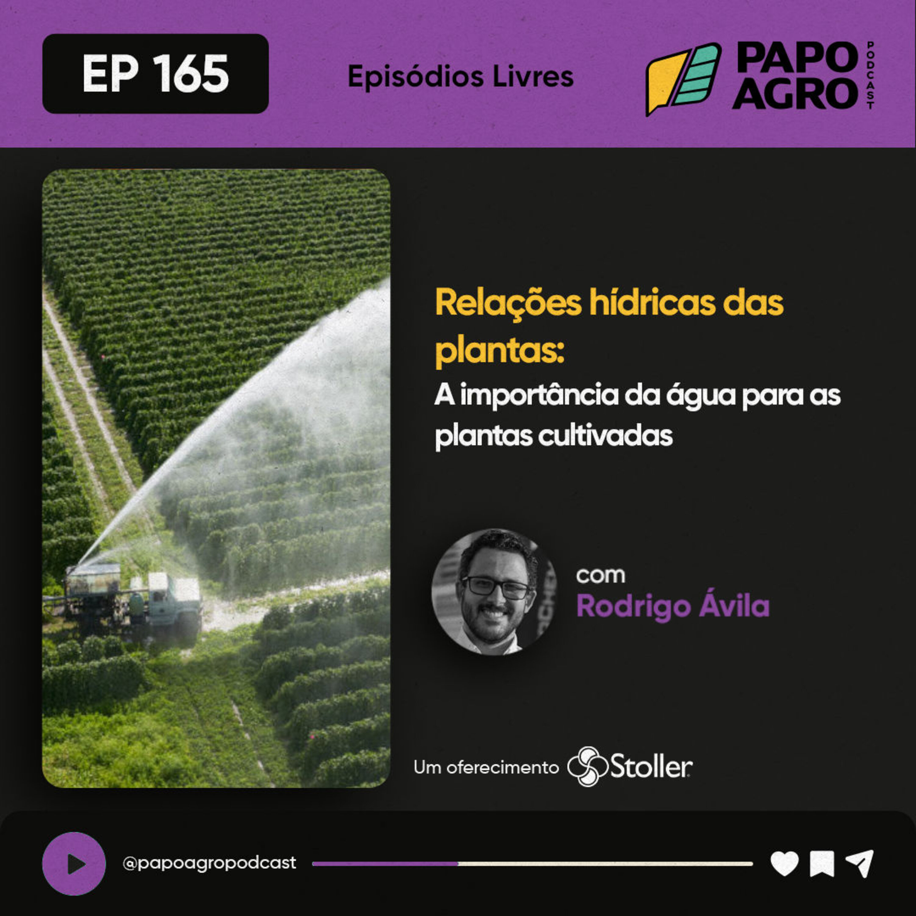 Papo Agro Podcast