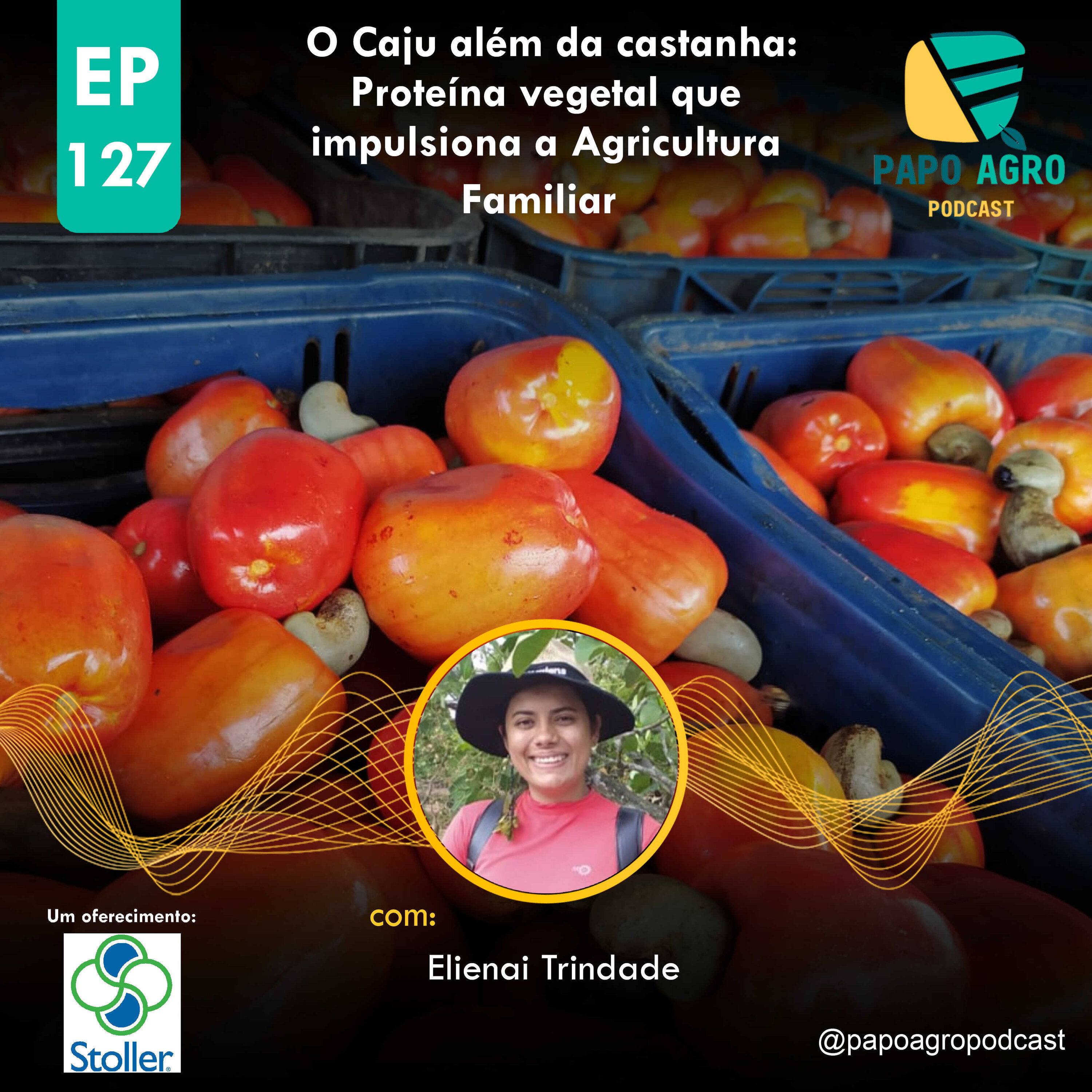 Papo Agro Podcast