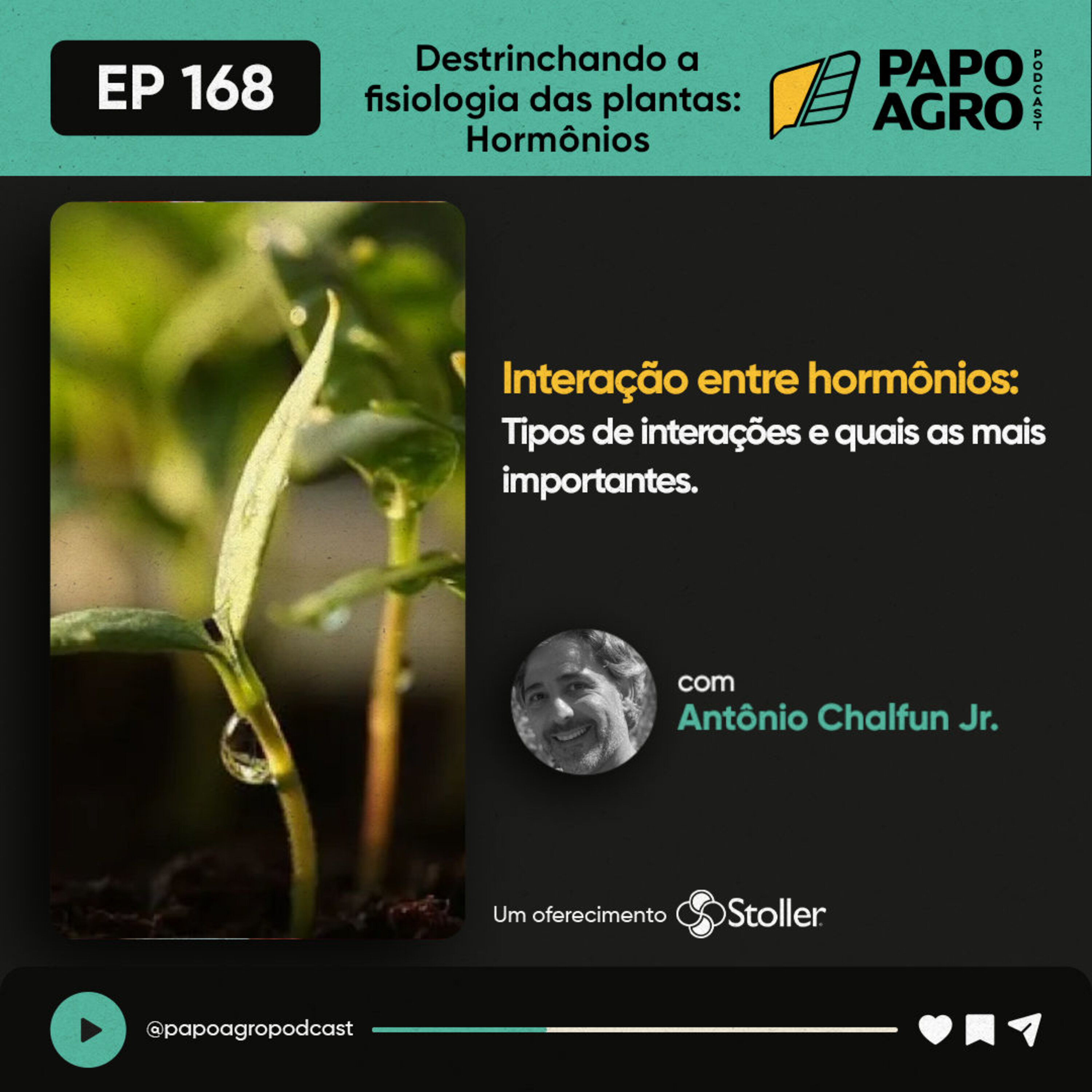 Papo Agro Podcast