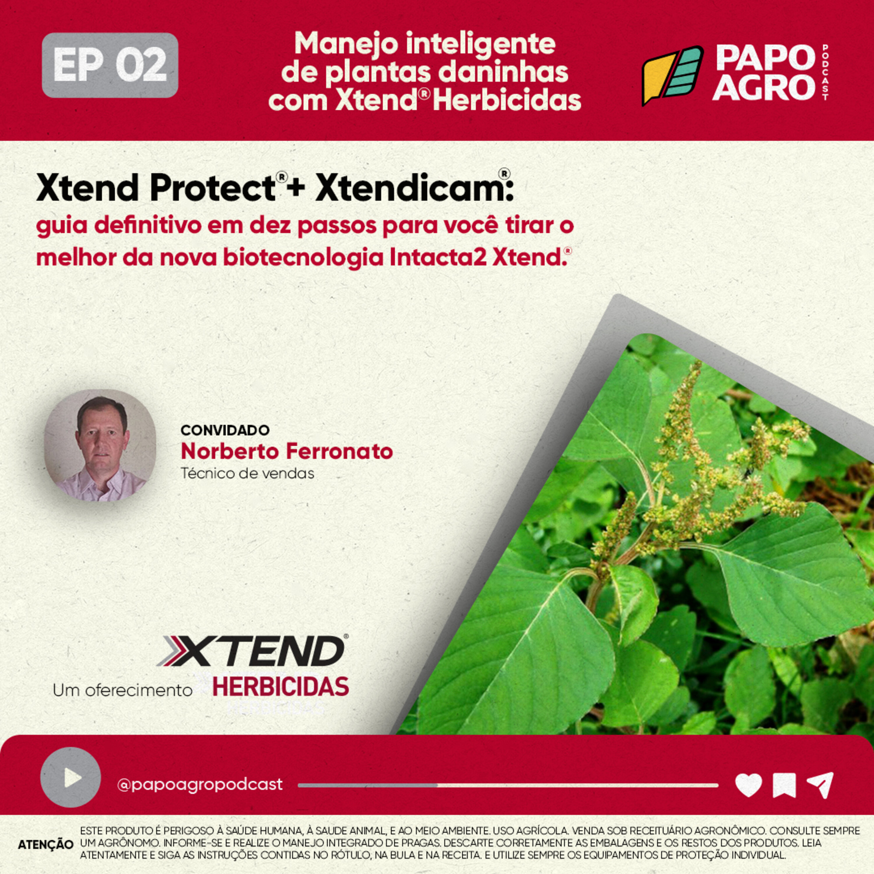 Papo Agro Podcast