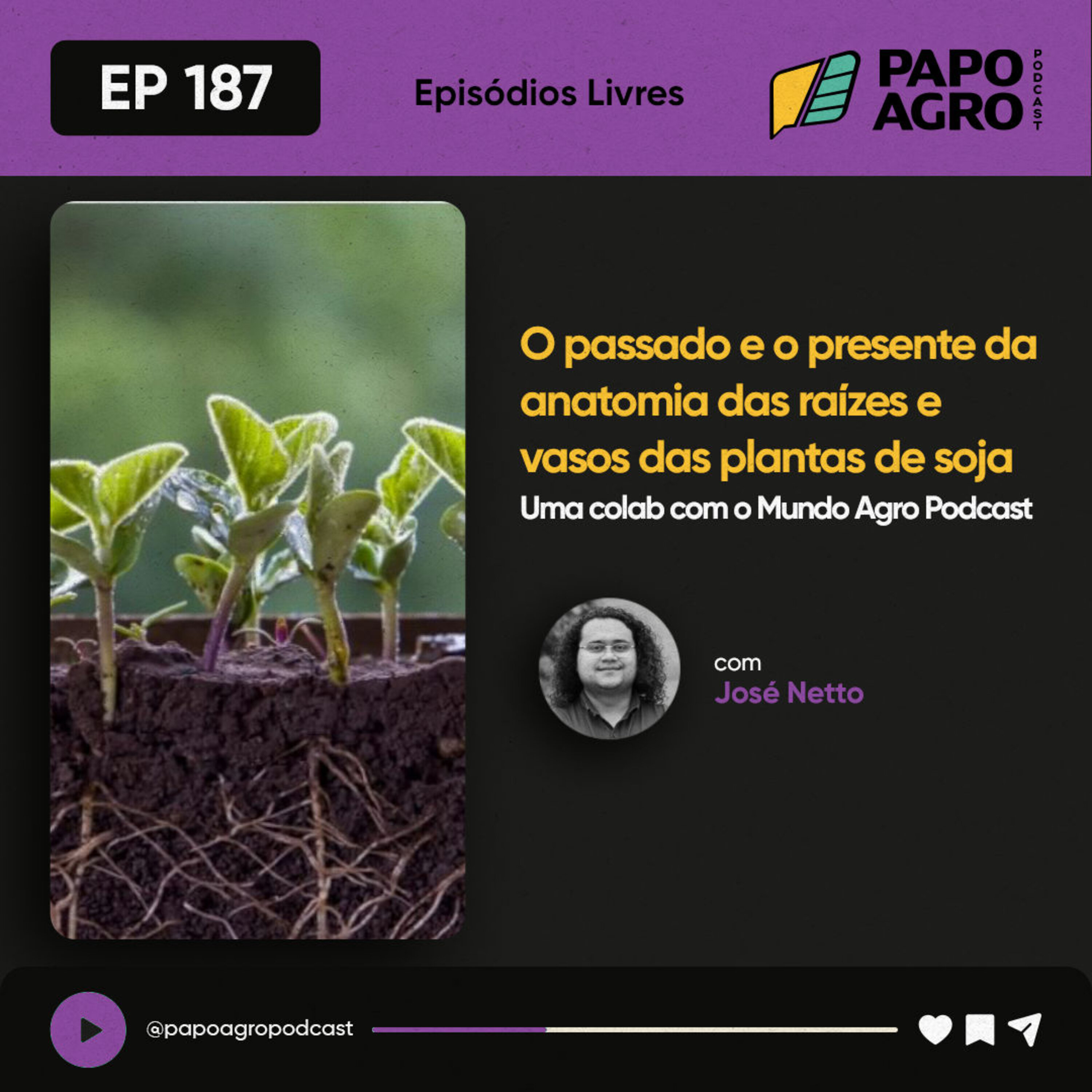 PA187 - Episodios Livres - O passado e o presente da anatomia das raizes e vasos das plantas de soja