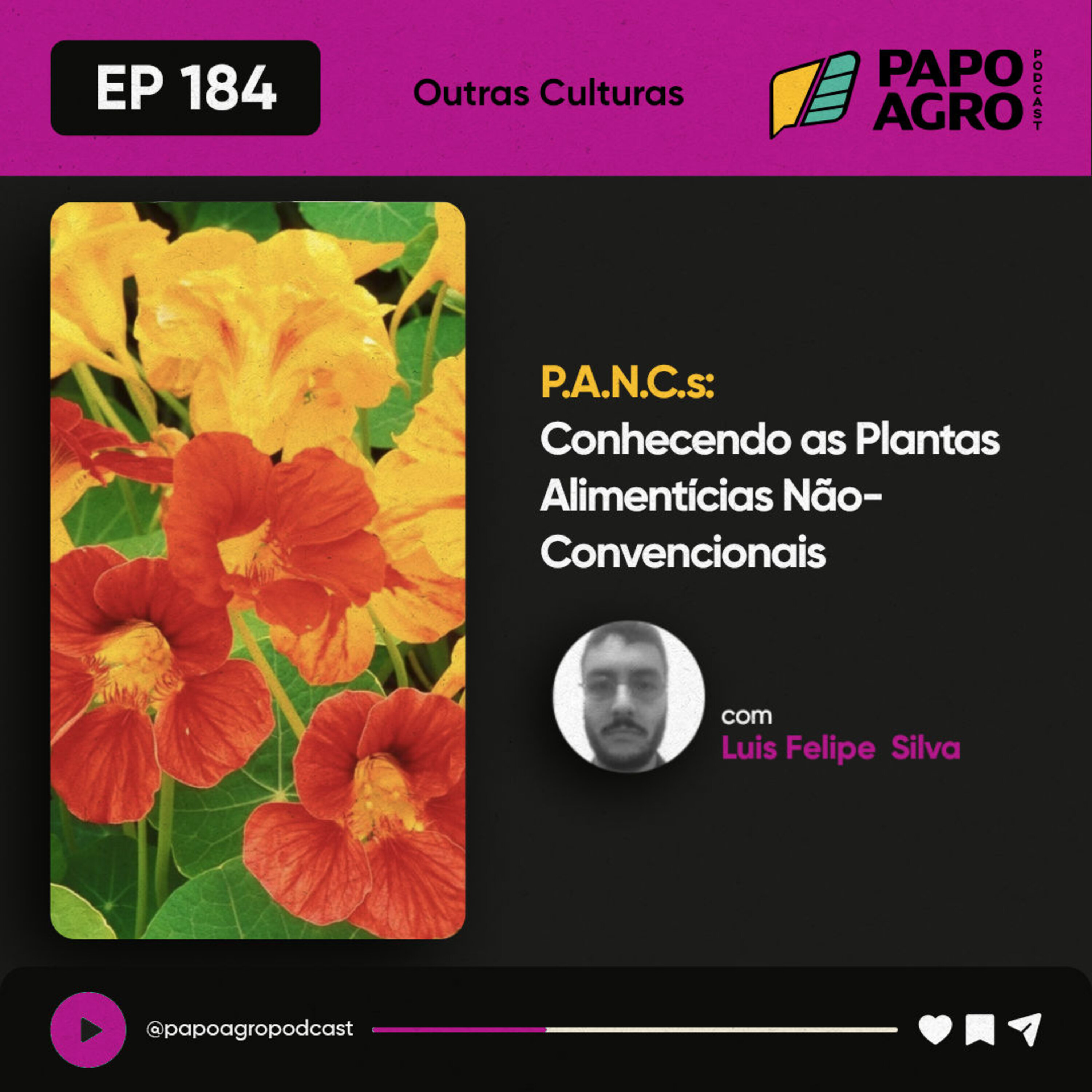 PA184 - Outras Culturas - PANCS