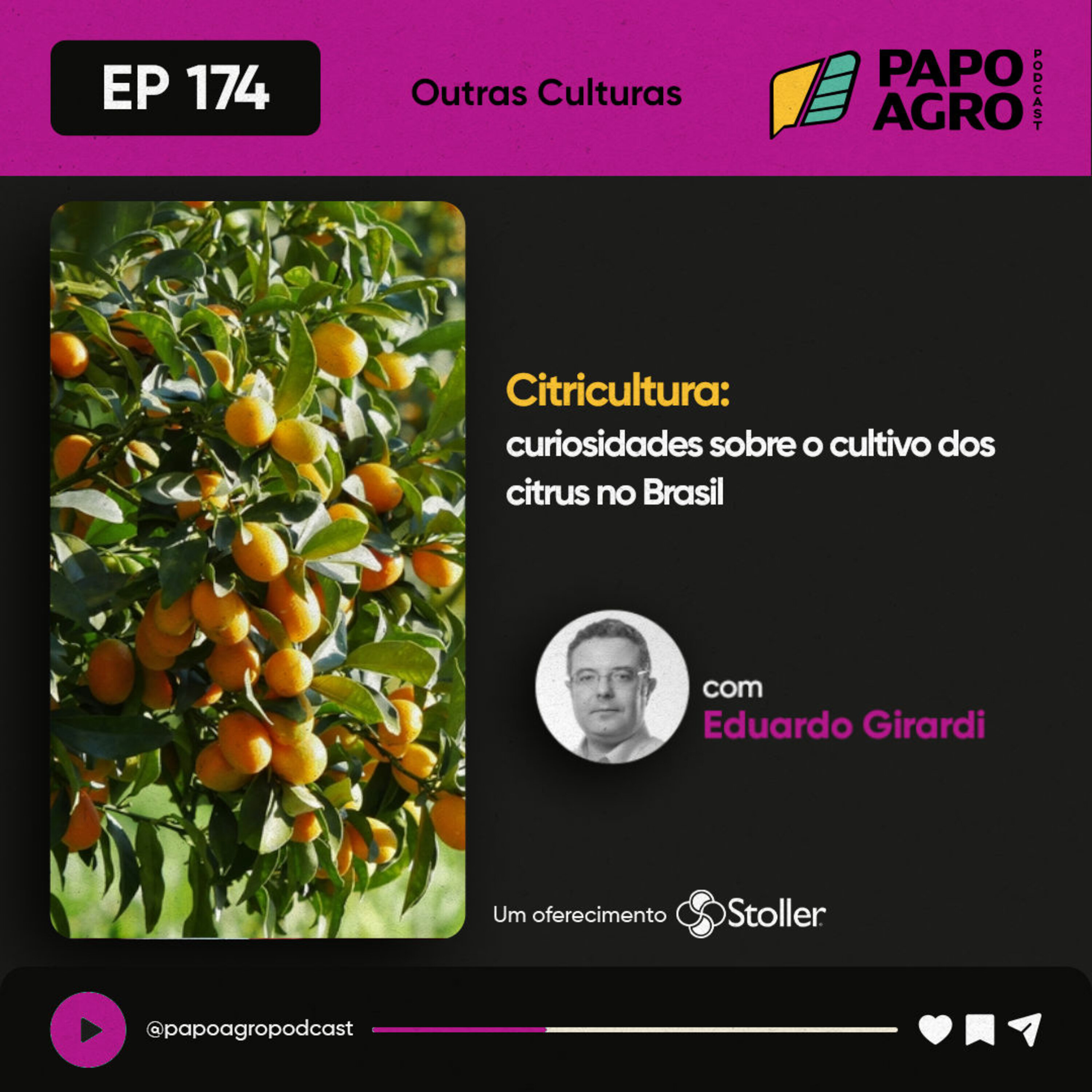 Papo Agro Podcast