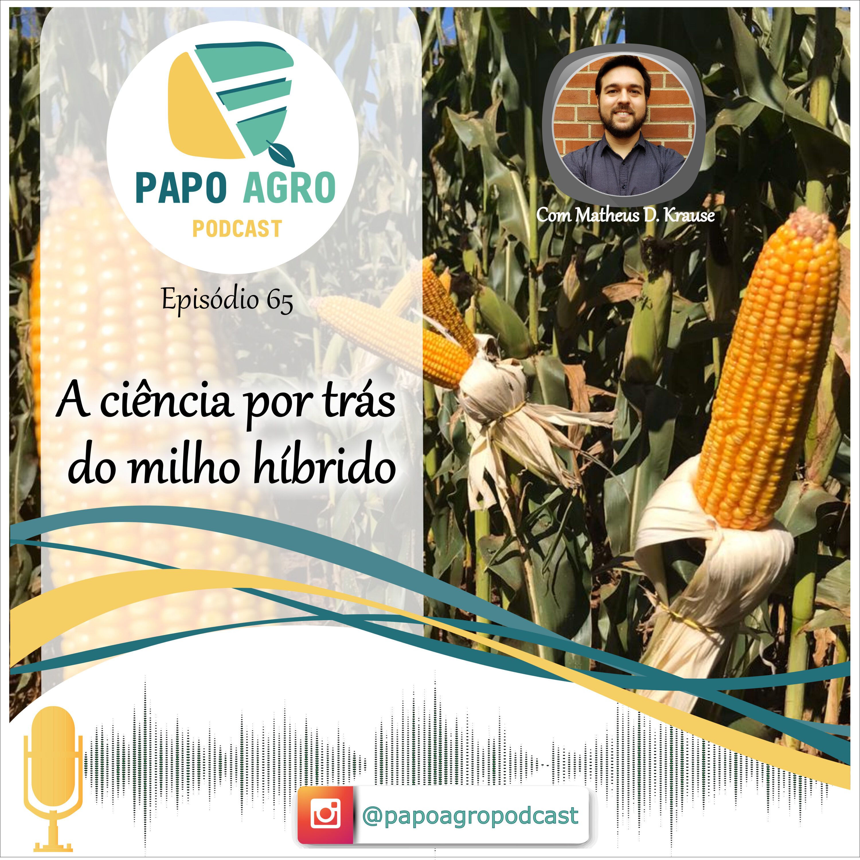 Papo Agro Podcast