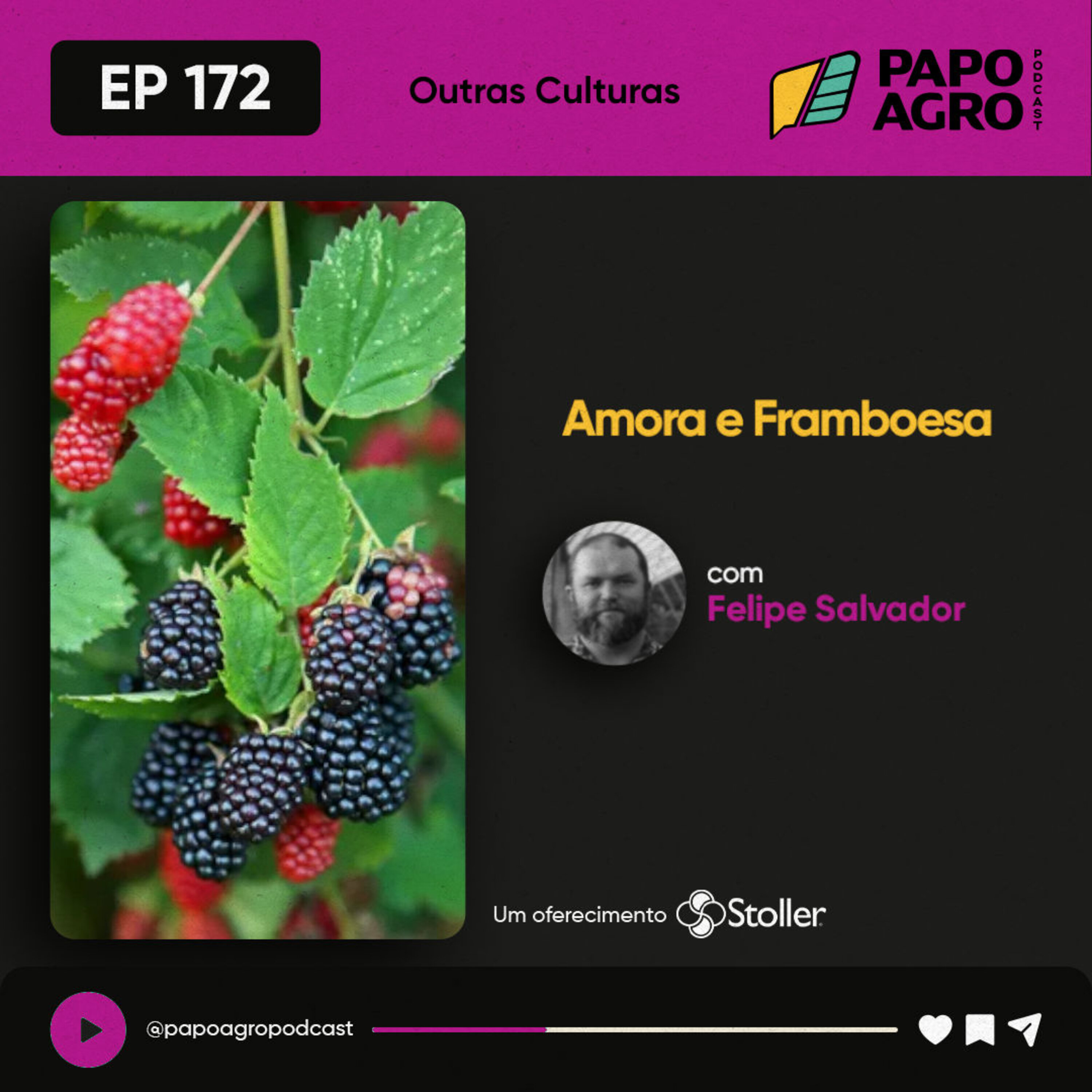 PA172 - Outras culturas: Amora e Framboesa