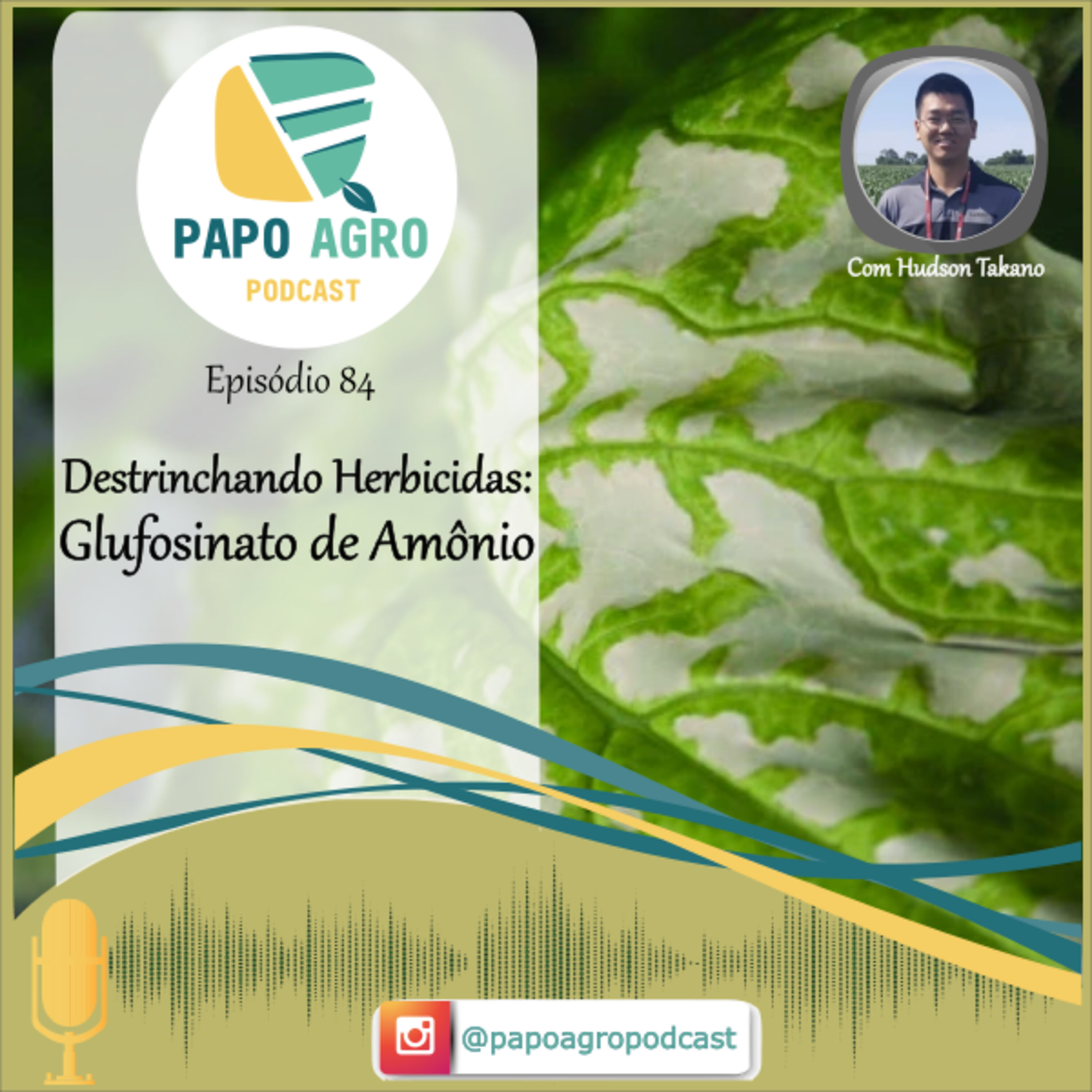 Papo Agro Podcast