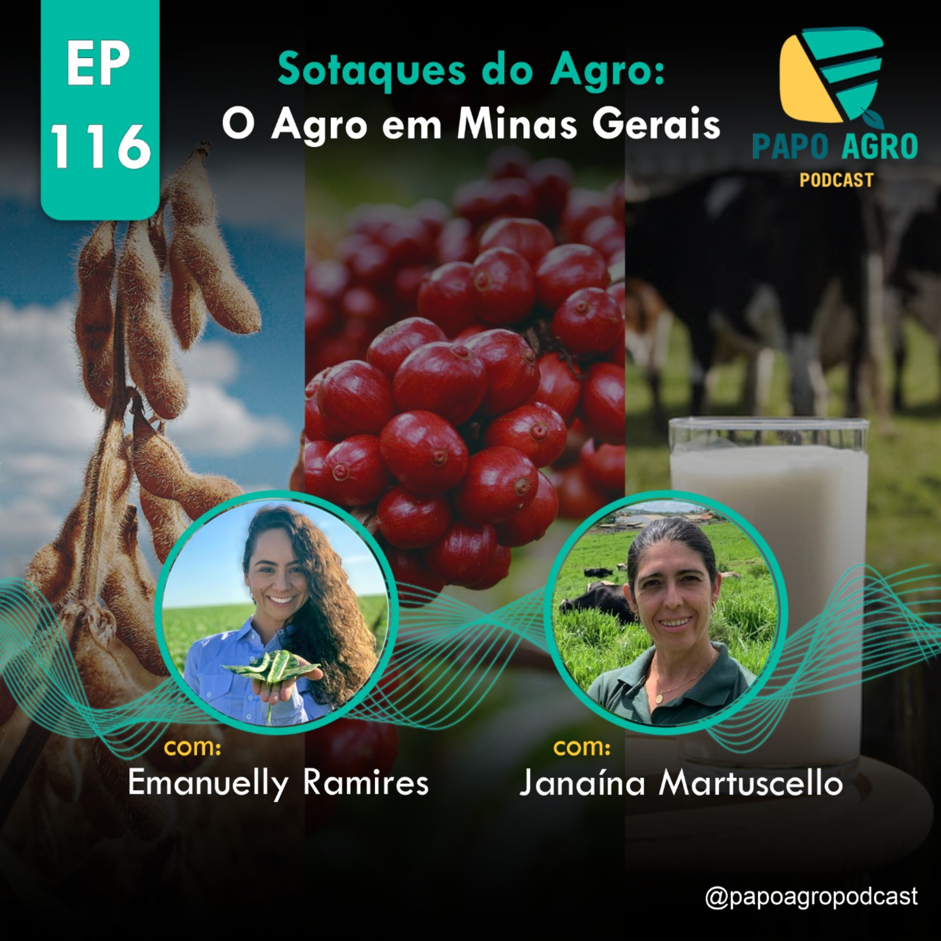 Papo Agro Podcast