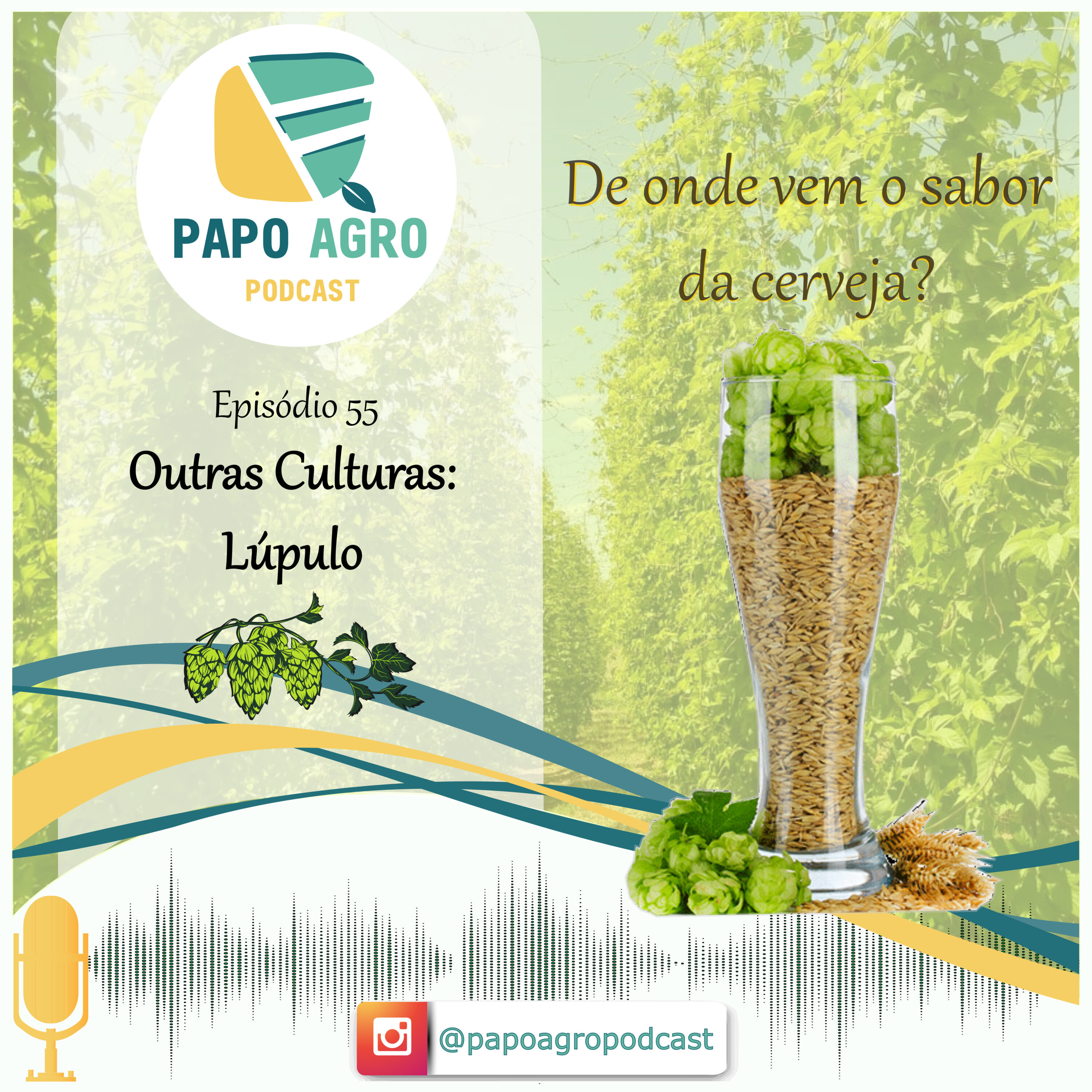 Papo Agro Podcast