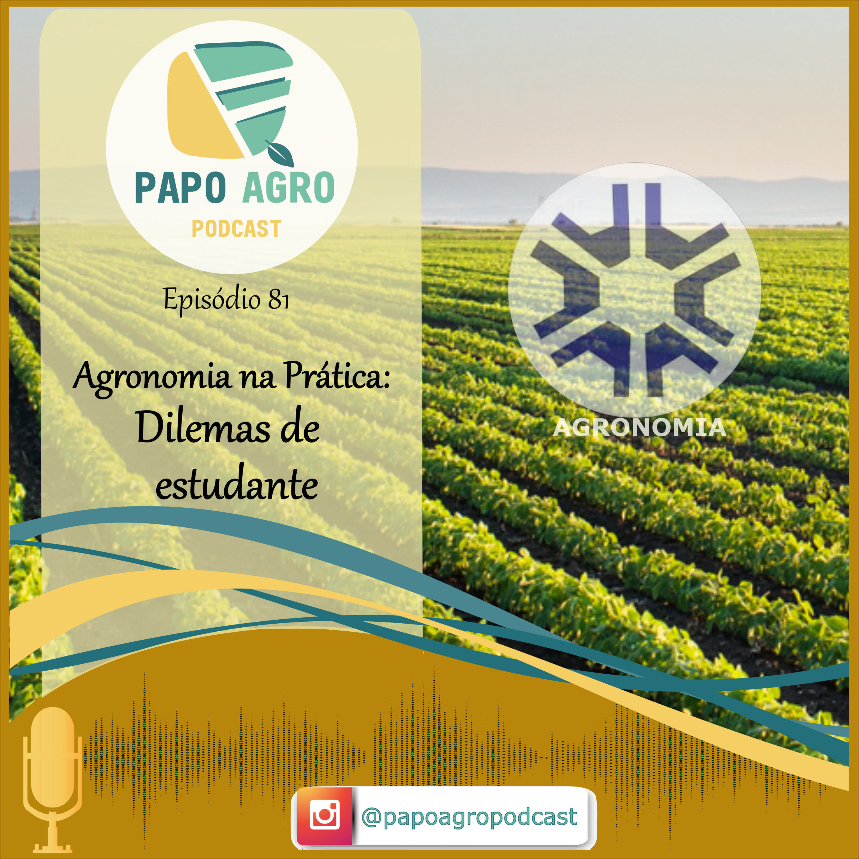 PA81 - Agronomia na prática - Dilemas de estudante