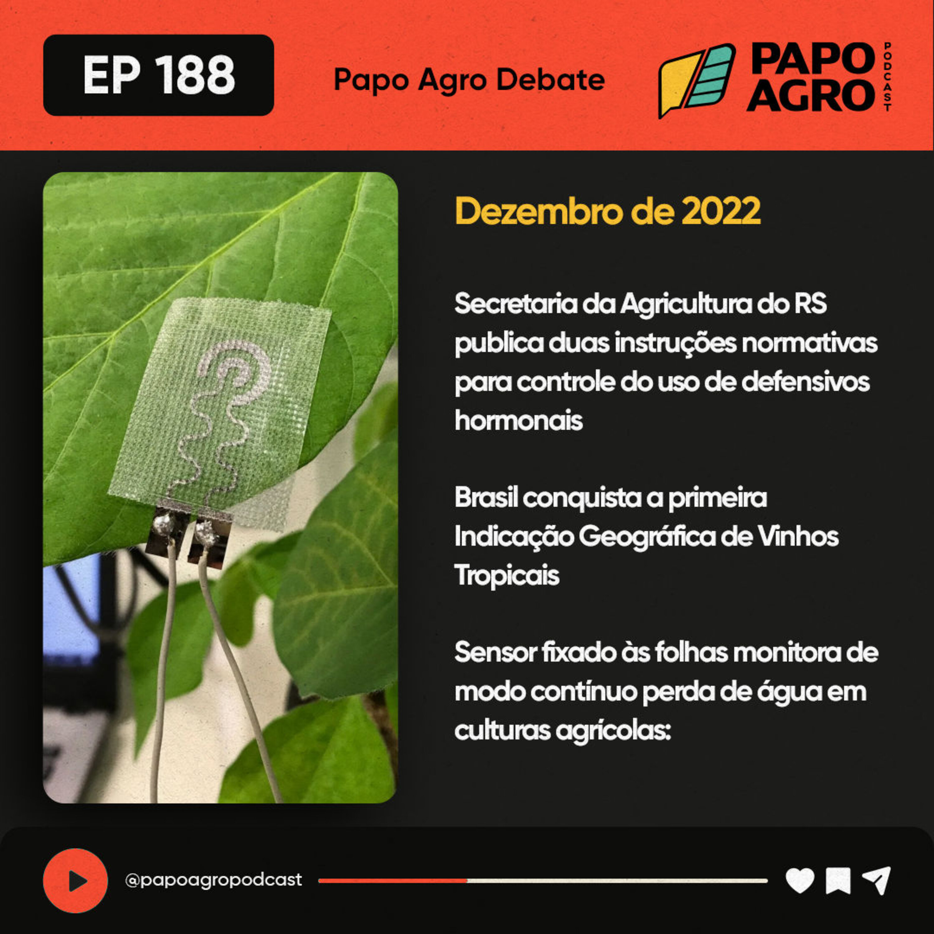 PA188 - Papo Agro Debate Dezembro 2022