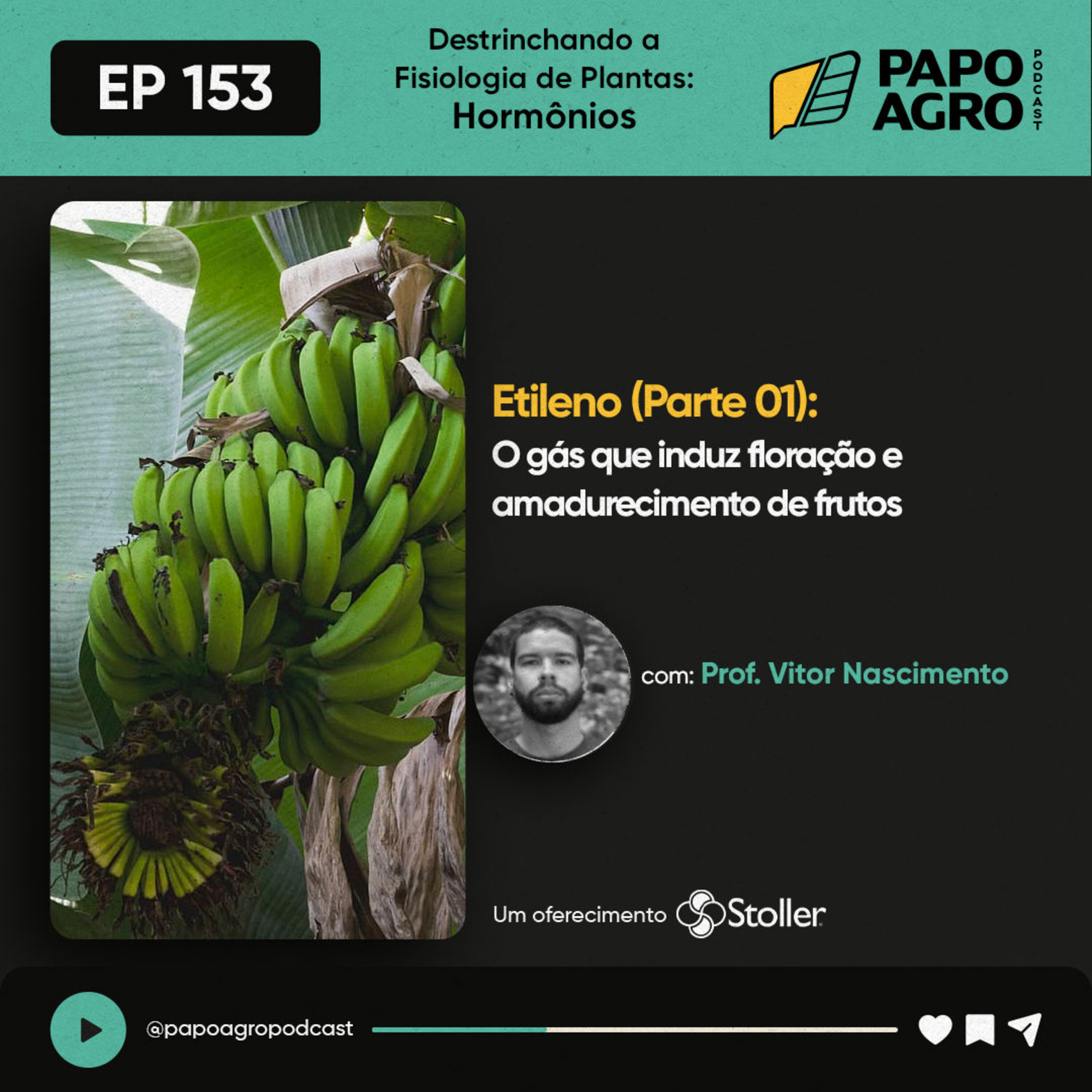 Papo Agro Podcast