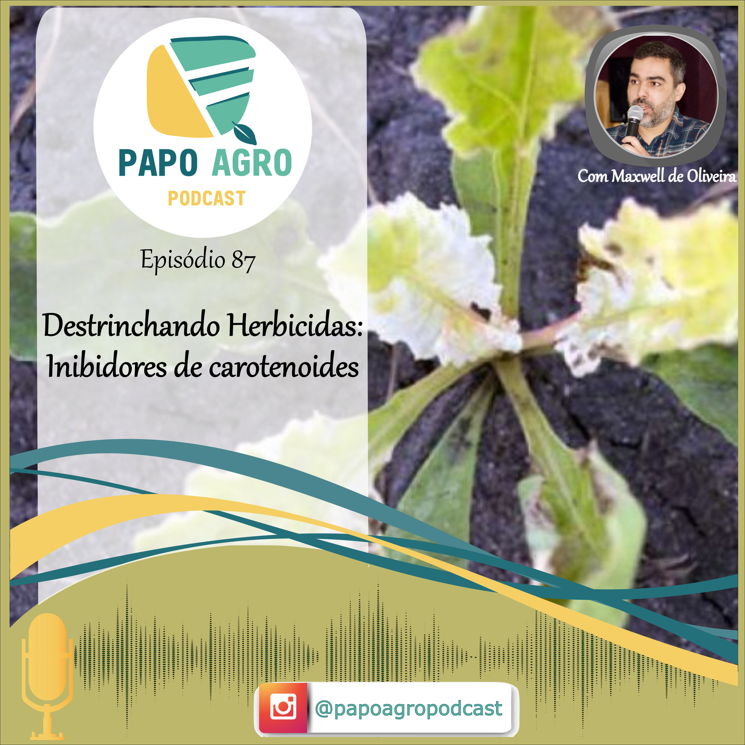 PA87 - Destrinchando herbicidas - Inibidores de Carotenoides