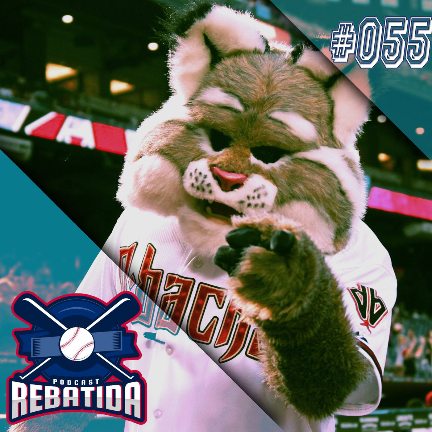 Rebatida Podcast 055 - Renato Barcellos, Arizona Diamondbacks e o futuro da MLB episode artwork
