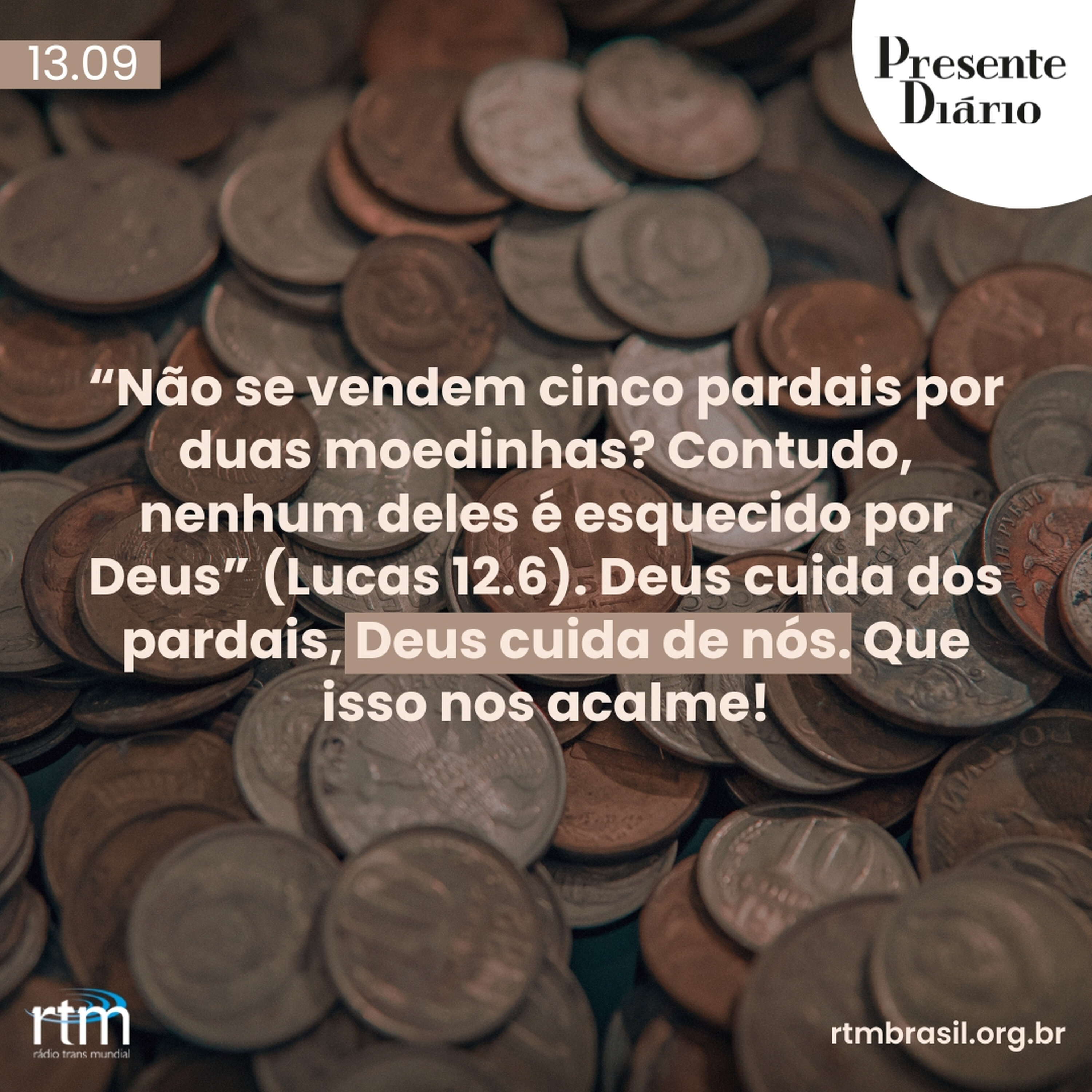 Como um pardal